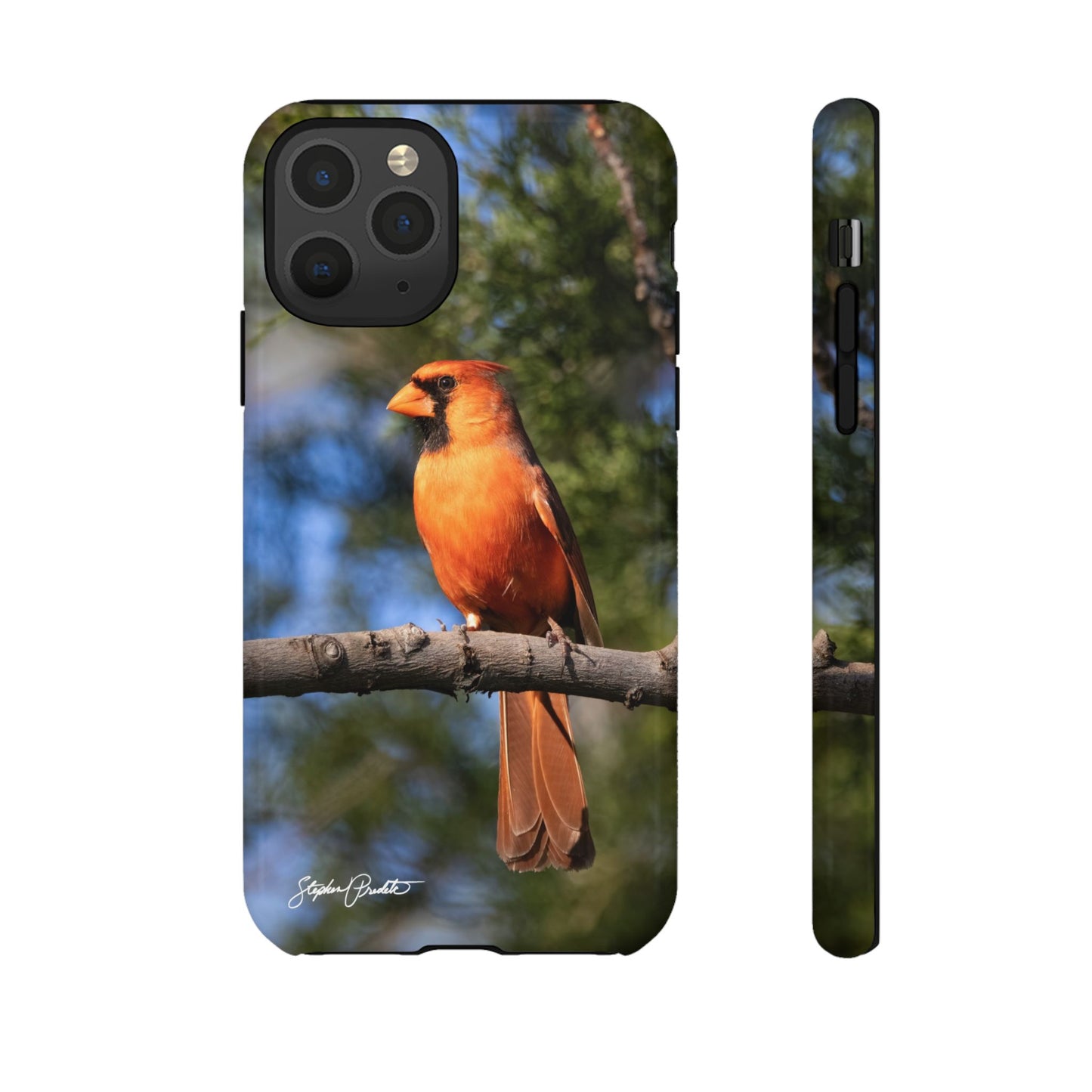 Phone Tough Case - Male Northern Cardinal