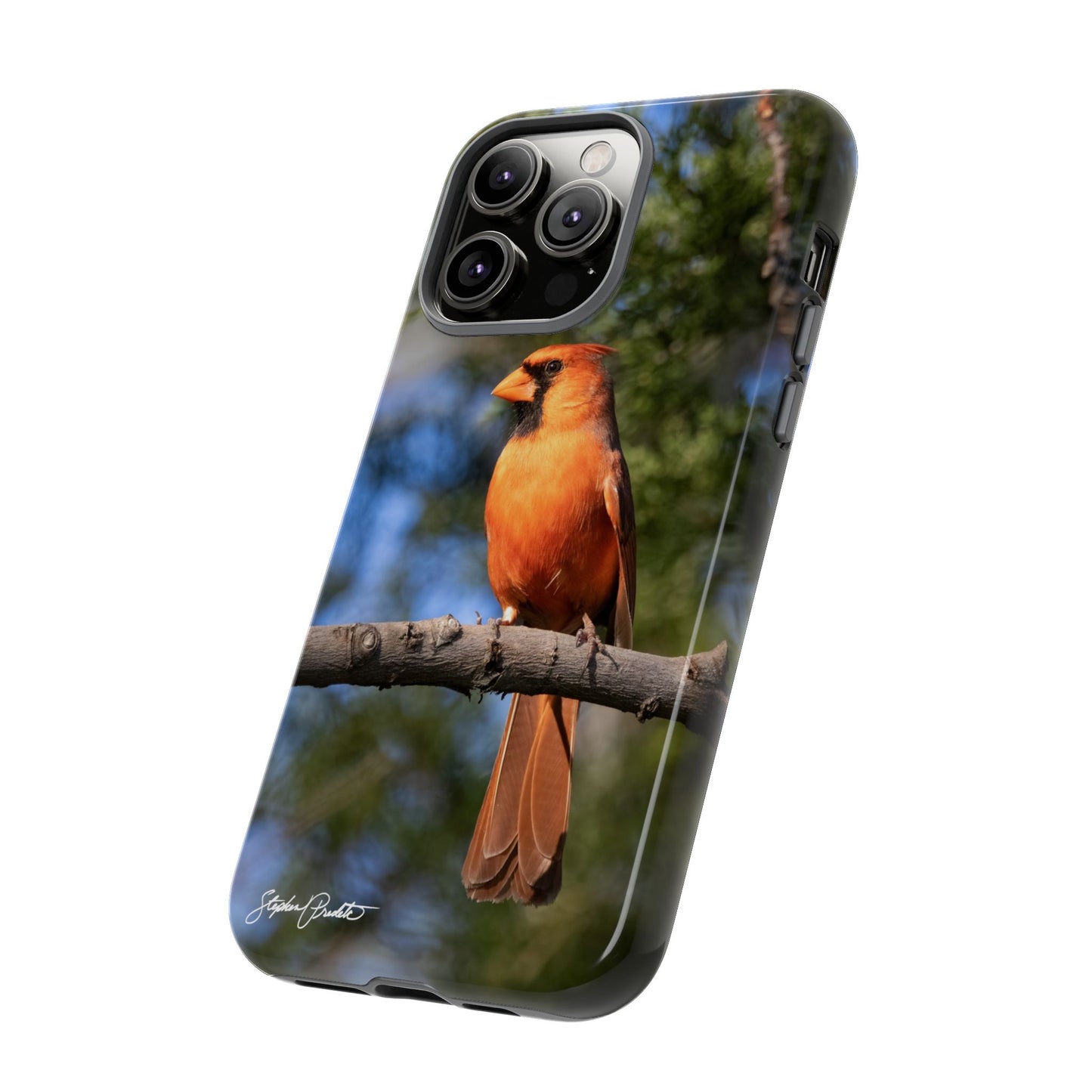 Phone Tough Case - Male Northern Cardinal