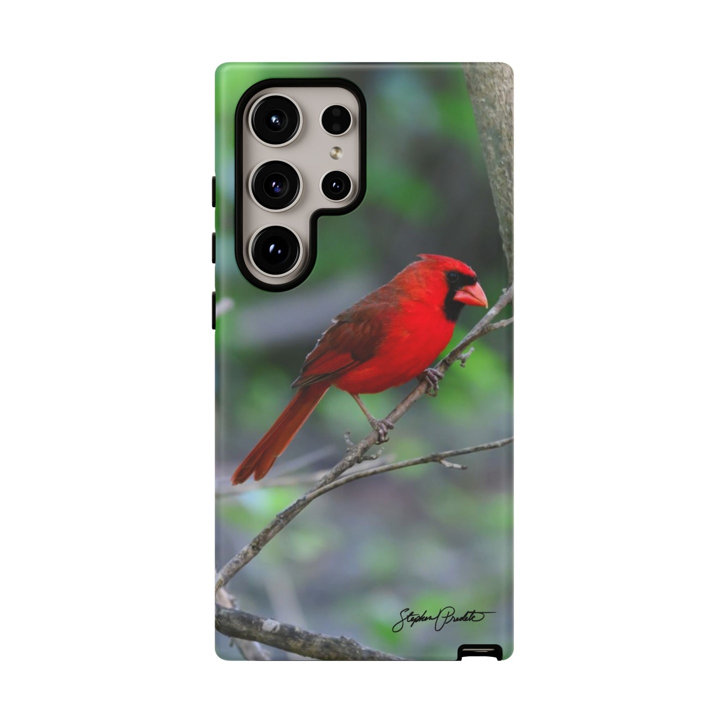 Phone Tough Case - Northern Cardinal 2