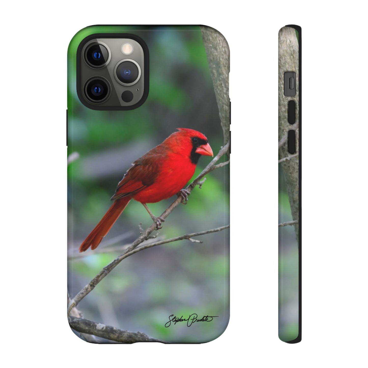 Phone Tough Case - Northern Cardinal 2