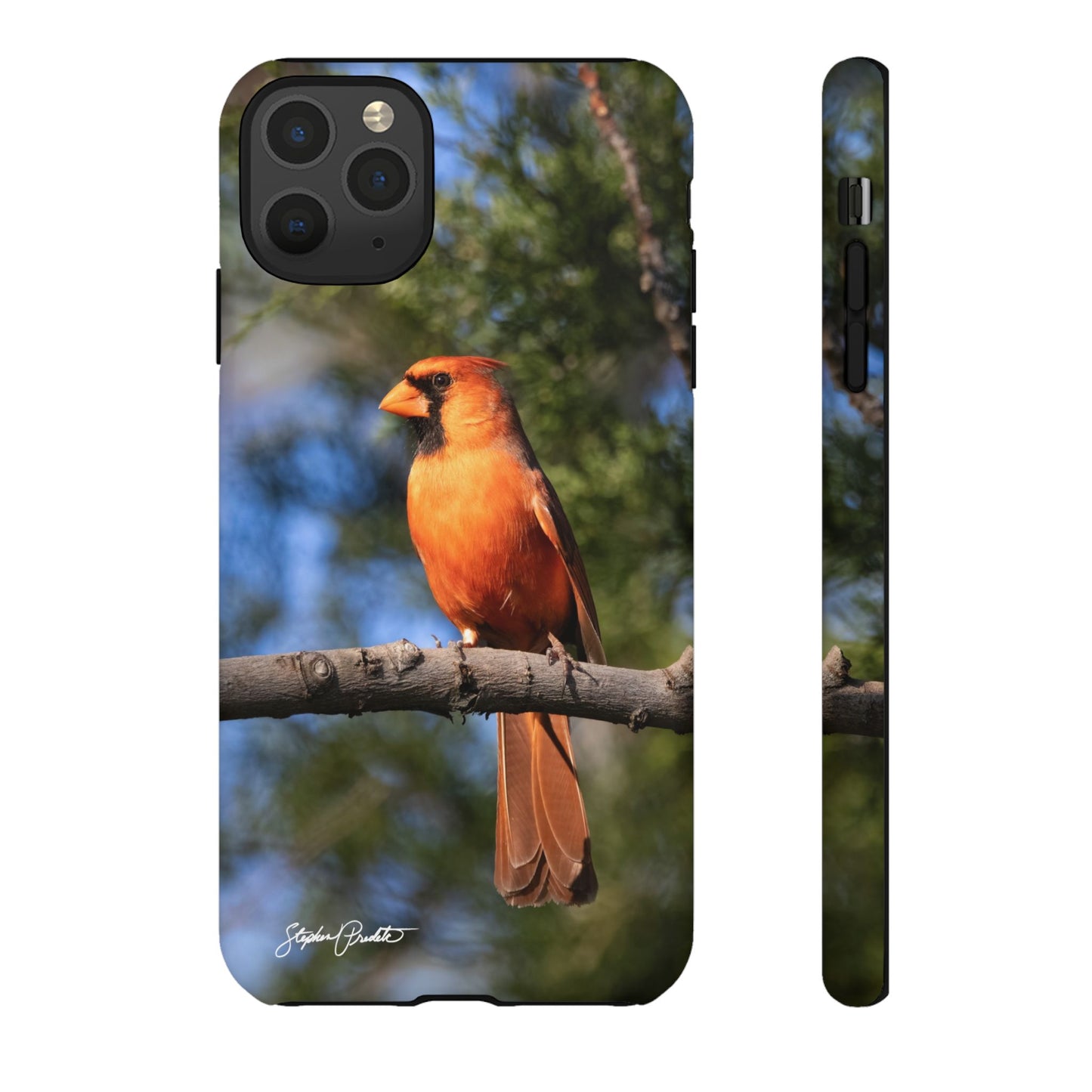 Phone Tough Case - Male Northern Cardinal