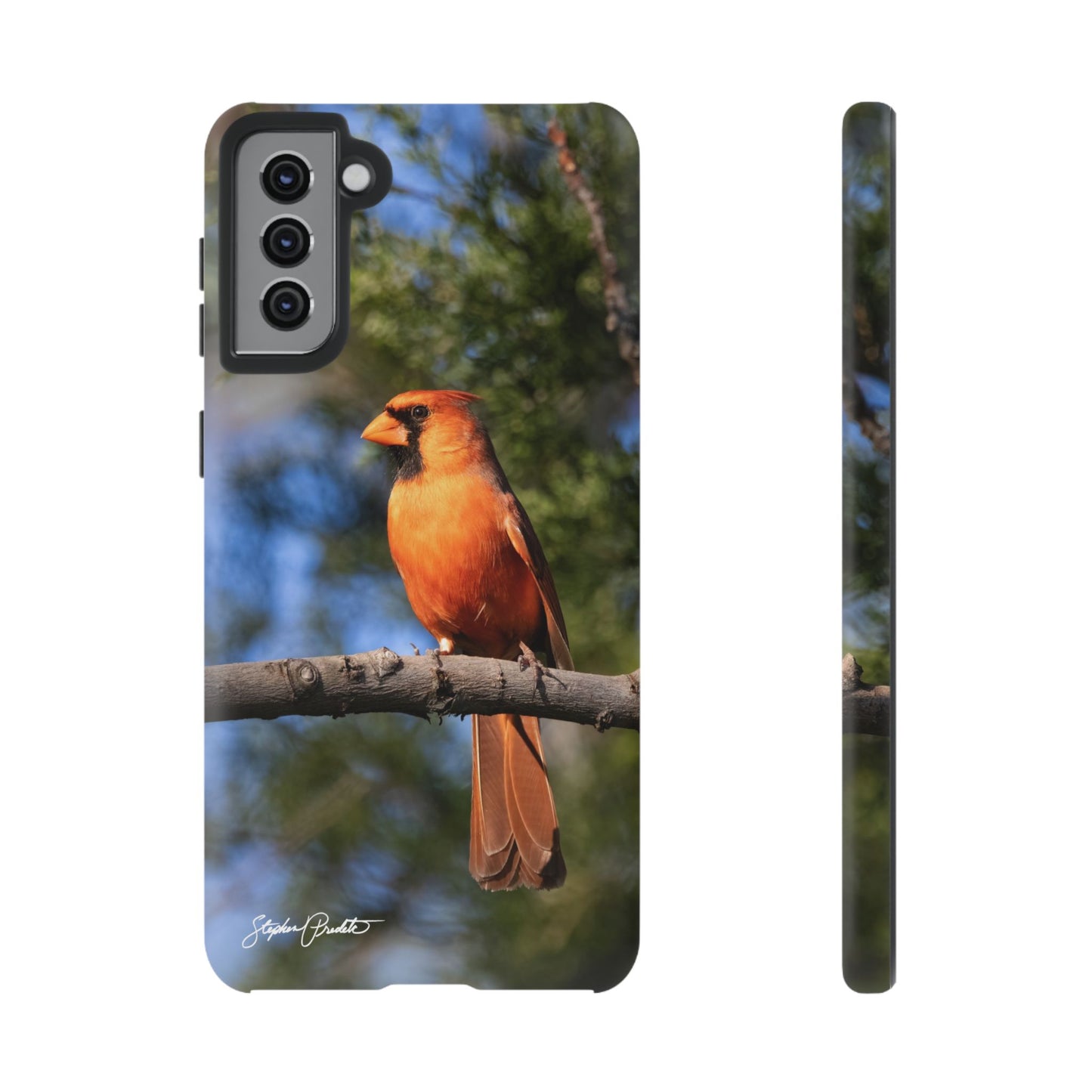 Phone Tough Case - Male Northern Cardinal