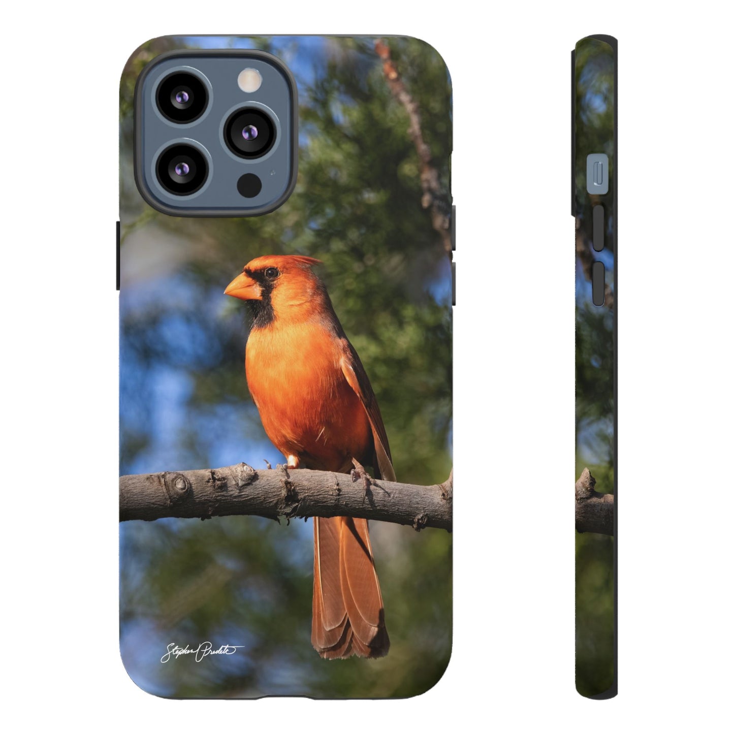 Phone Tough Case - Male Northern Cardinal