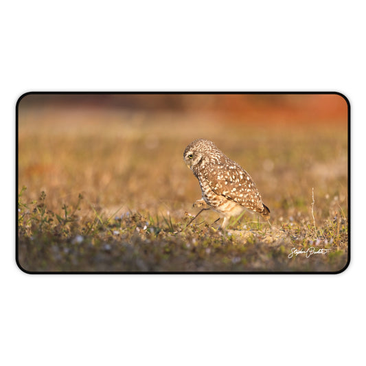 Desk Mat -- Burrowing Owl Stroll