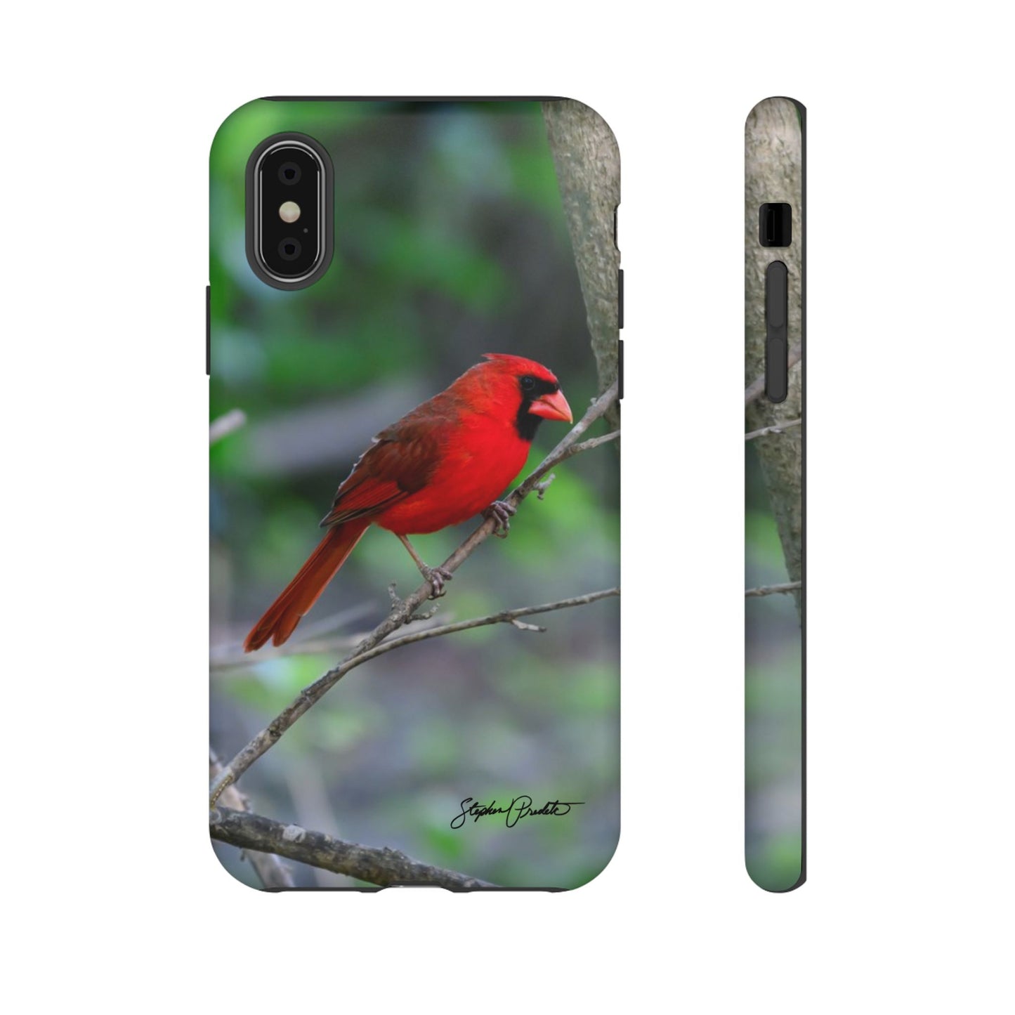 Phone Tough Case - Northern Cardinal 2