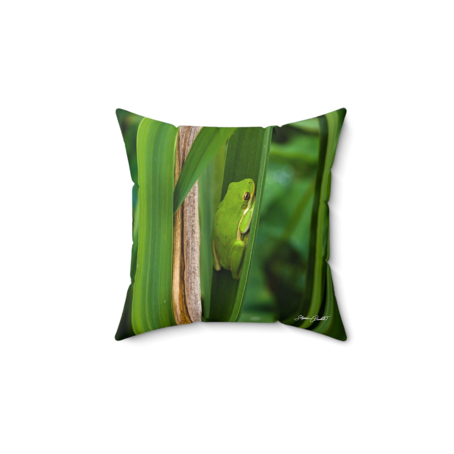 Throw Pillow -- Tree Frog Photo -- Spun Polyester Square Pillow