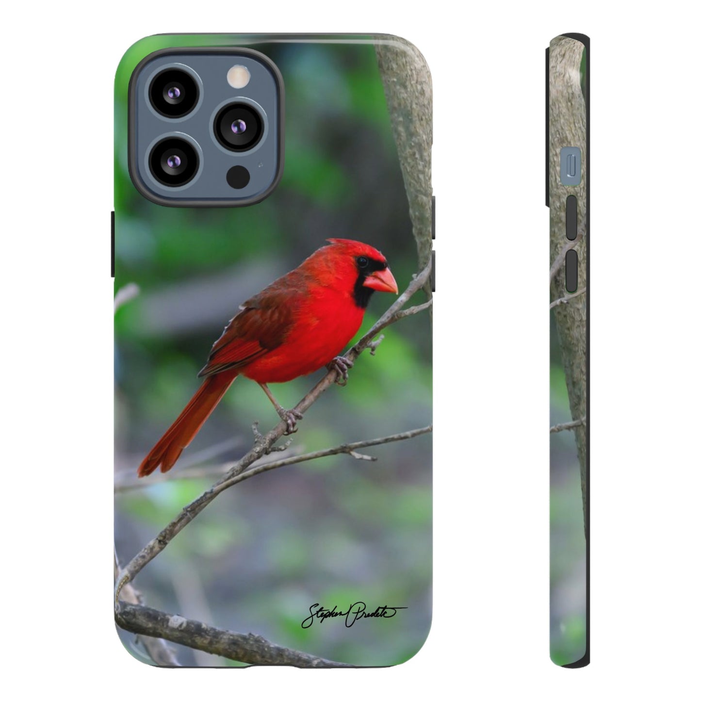 Phone Tough Case - Northern Cardinal 2