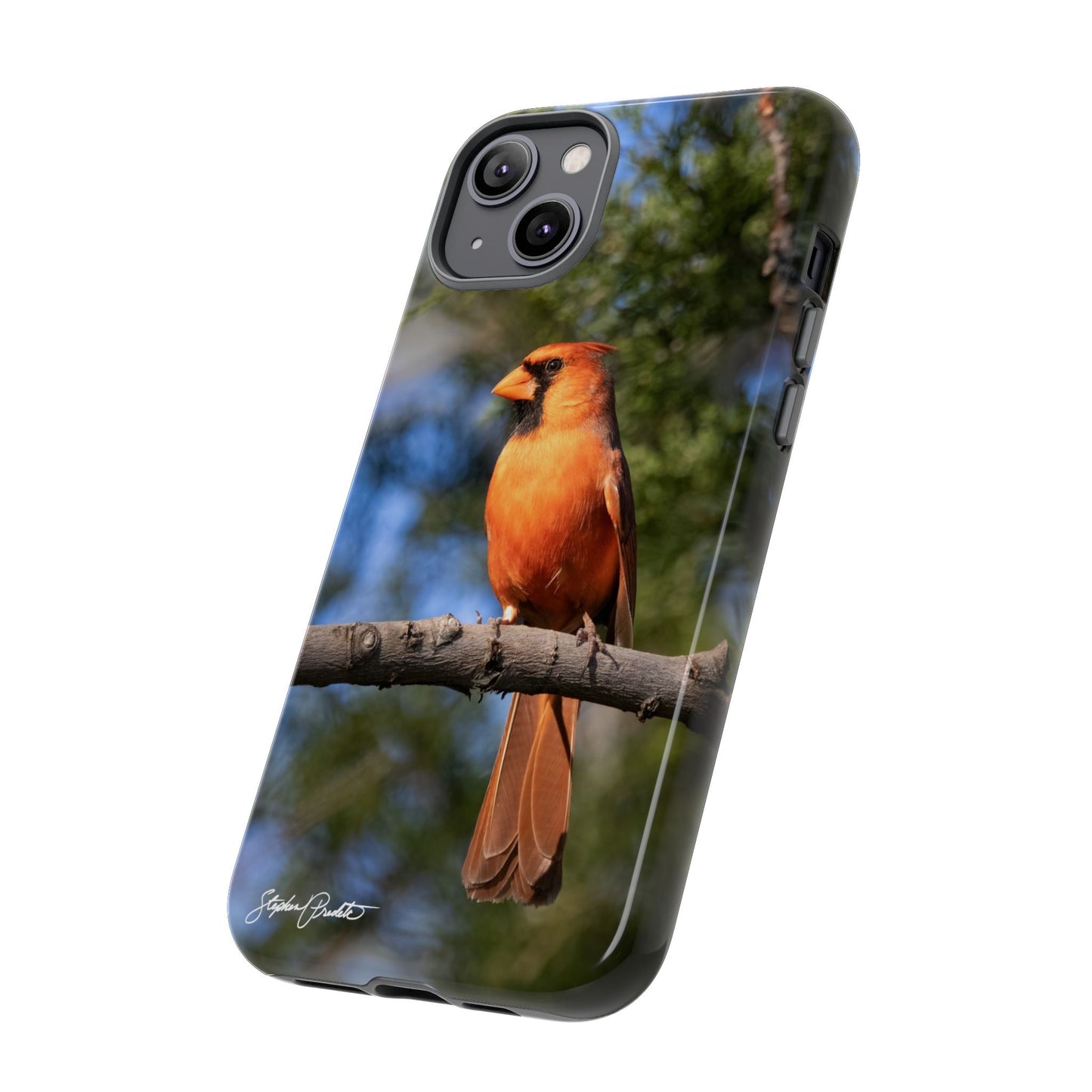 Phone Tough Case - Male Northern Cardinal