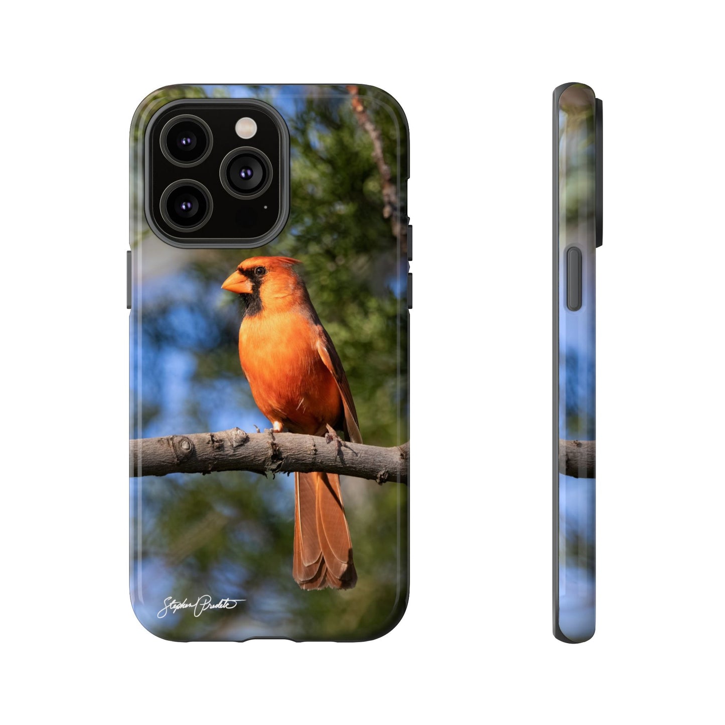 Phone Tough Case - Male Northern Cardinal