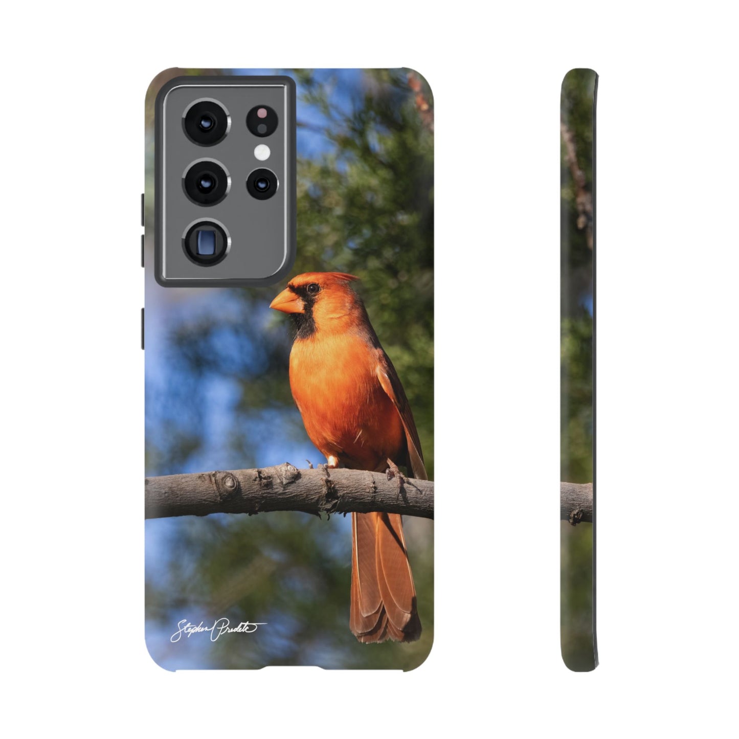 Phone Tough Case - Male Northern Cardinal