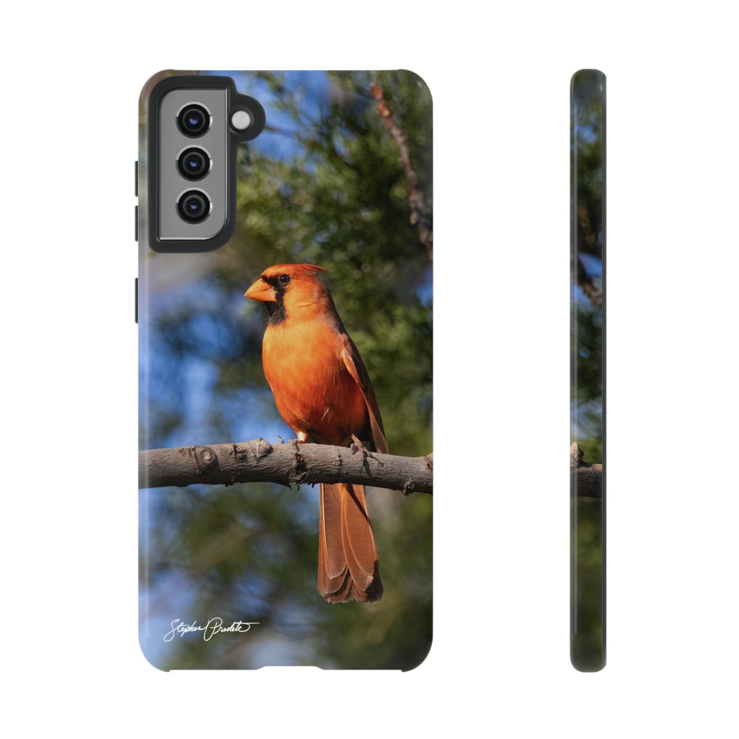 Phone Tough Case - Male Northern Cardinal