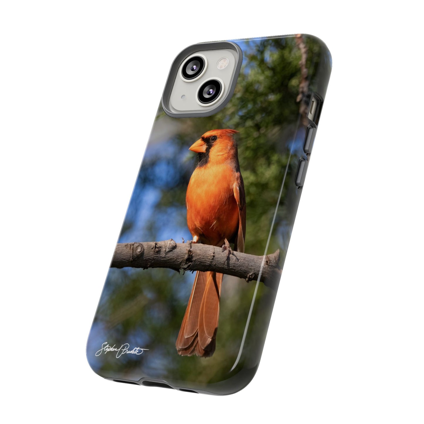 Phone Tough Case - Male Northern Cardinal