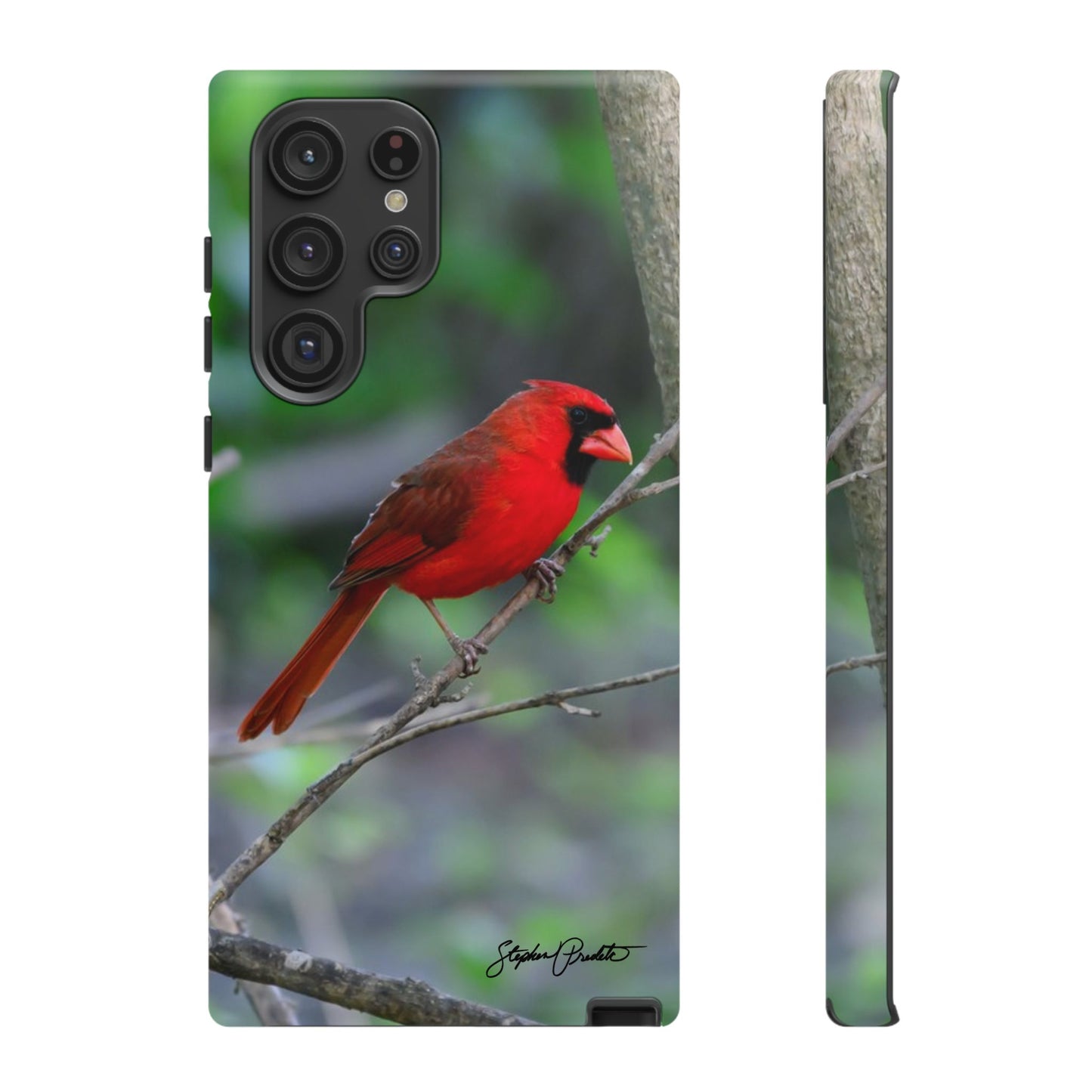 Phone Tough Case - Northern Cardinal 2