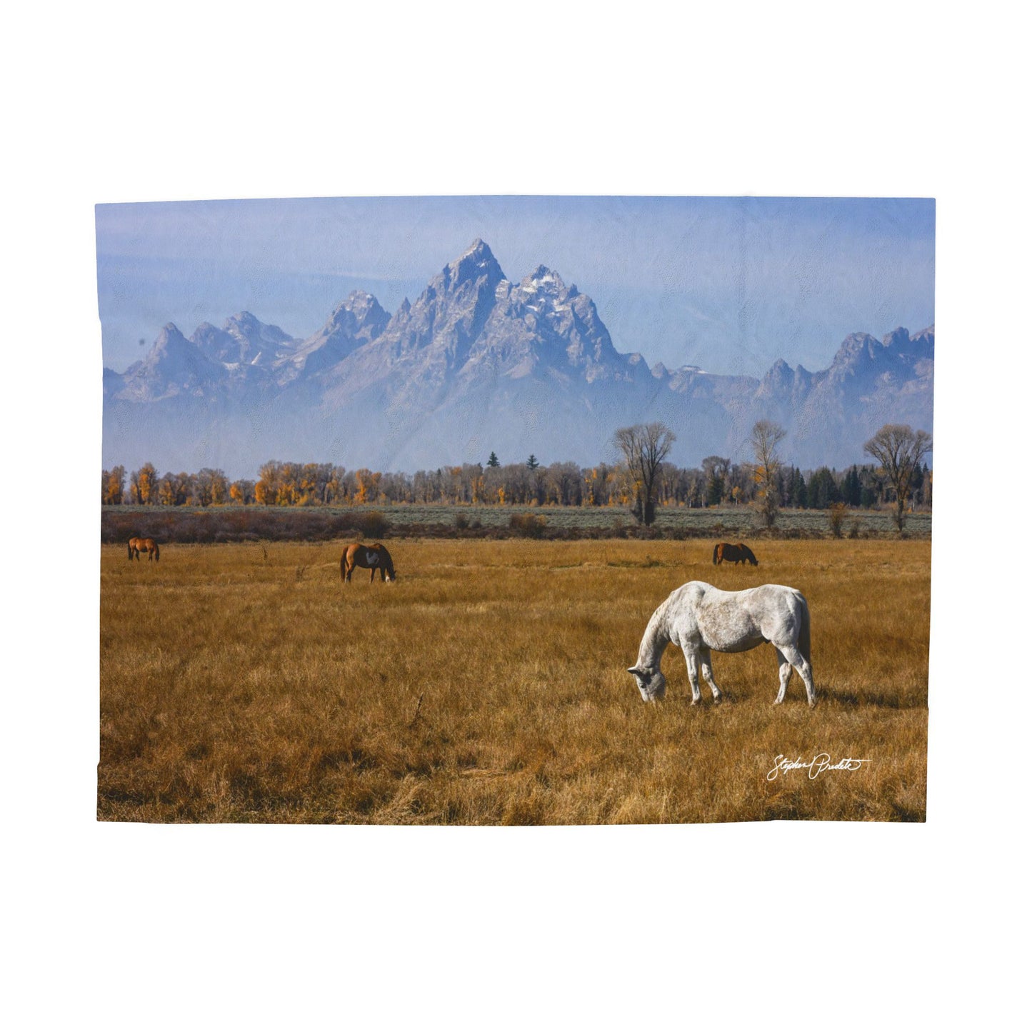 Blankets: Velveteen Plush Blanket — Grand Teton Horses Scenic Throw