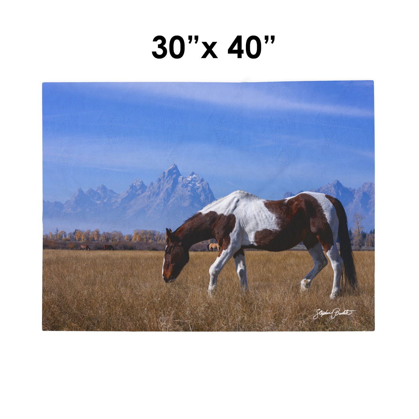 Blankets: Velveteen Plush Blanket — Grand Teton Paint Horse Scenic Throw