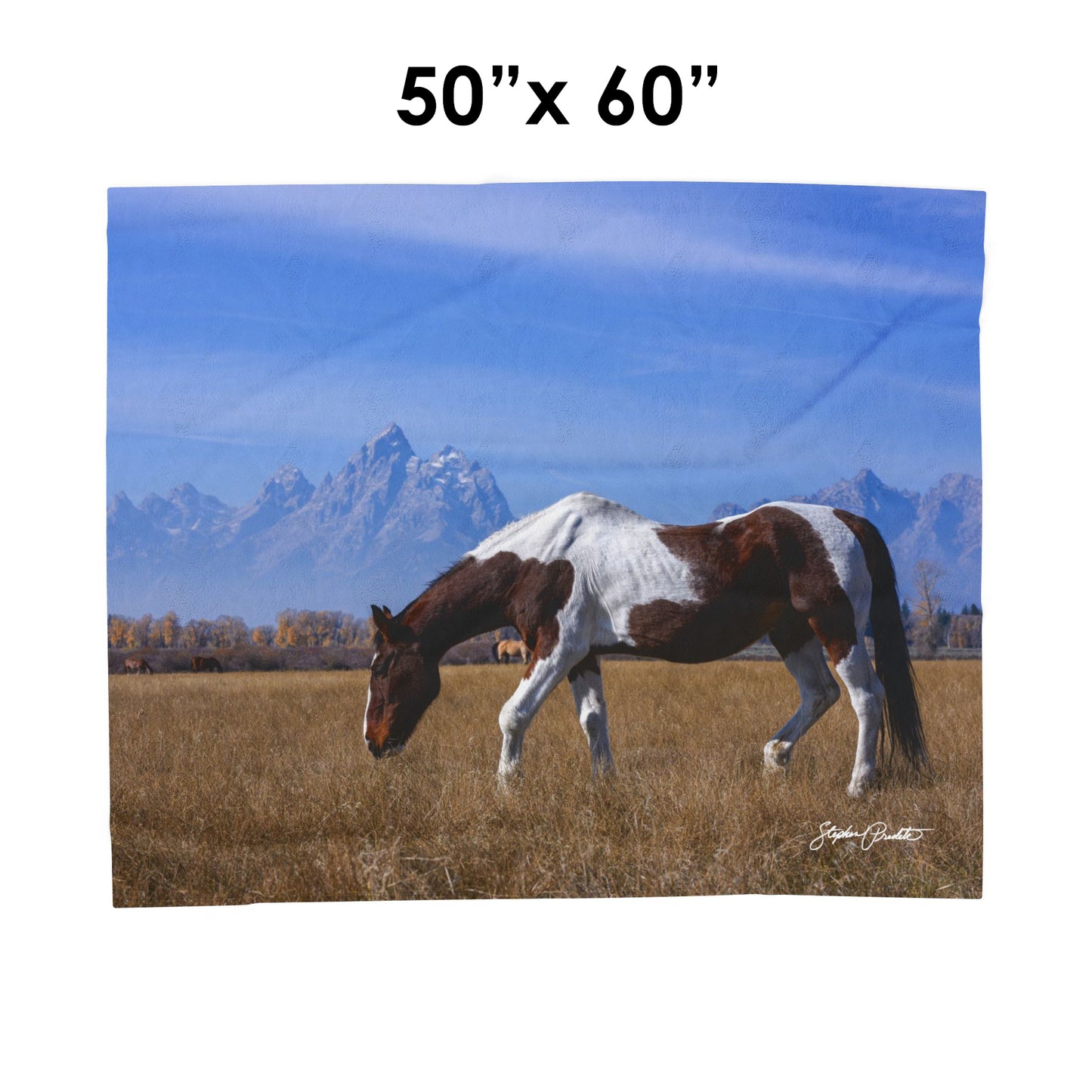 Blankets: Velveteen Plush Blanket — Grand Teton Paint Horse Scenic Throw
