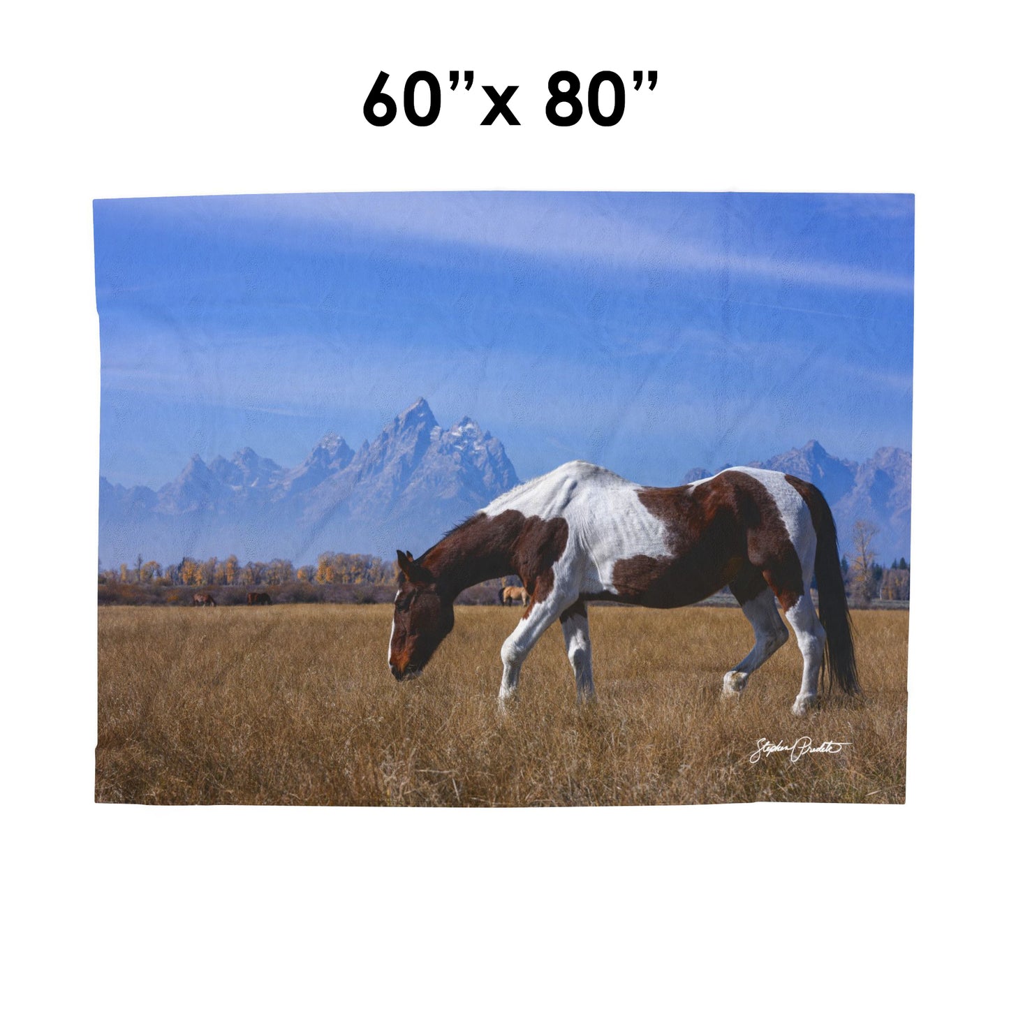 Blankets: Velveteen Plush Blanket — Grand Teton Paint Horse Scenic Throw