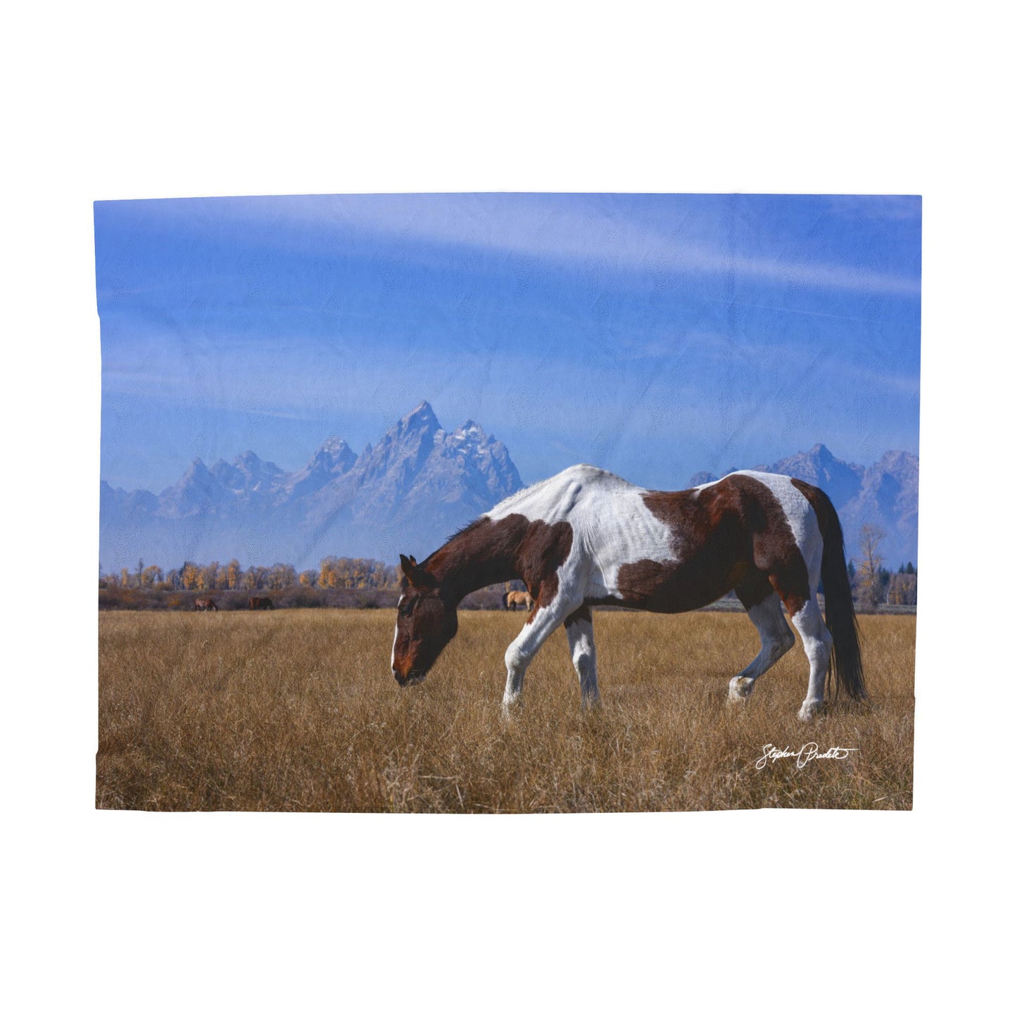 Blankets: Velveteen Plush Blanket — Grand Teton Paint Horse Scenic Throw