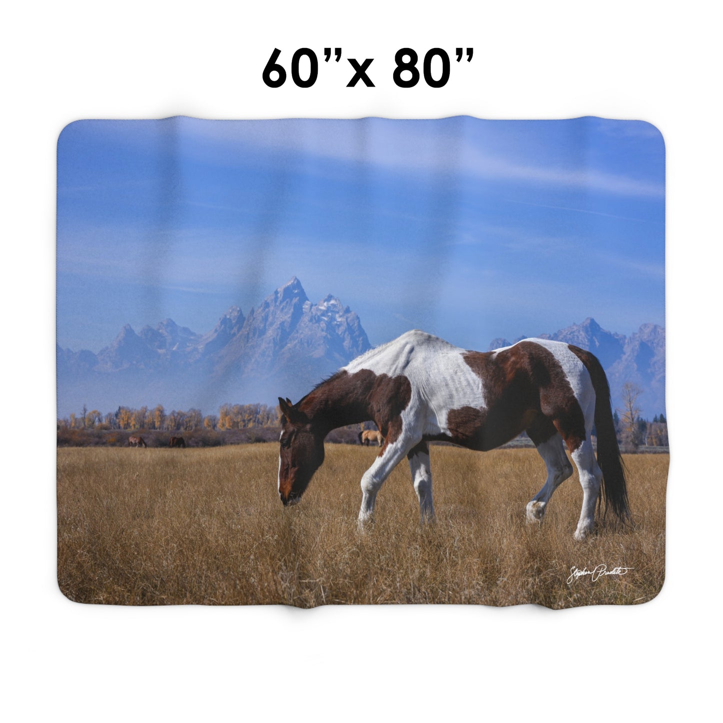 Blankets: Sherpa Fleece Blanket -- Foldable Fine Art -- Grand Teton Paint Horse