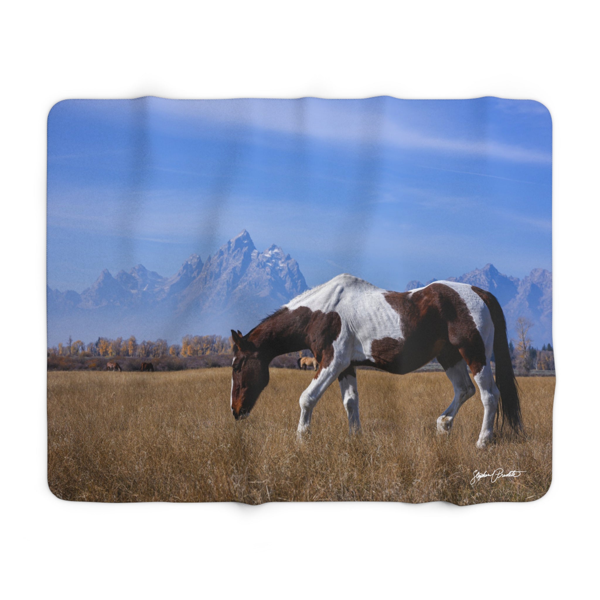 Blankets: Sherpa Fleece Blanket -- Foldable Fine Art -- Grand