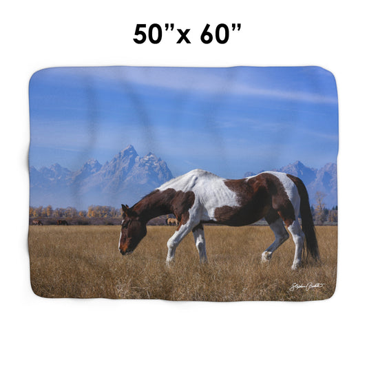 Blankets: Sherpa Fleece Blanket -- Foldable Fine Art -- Grand Teton Paint Horse