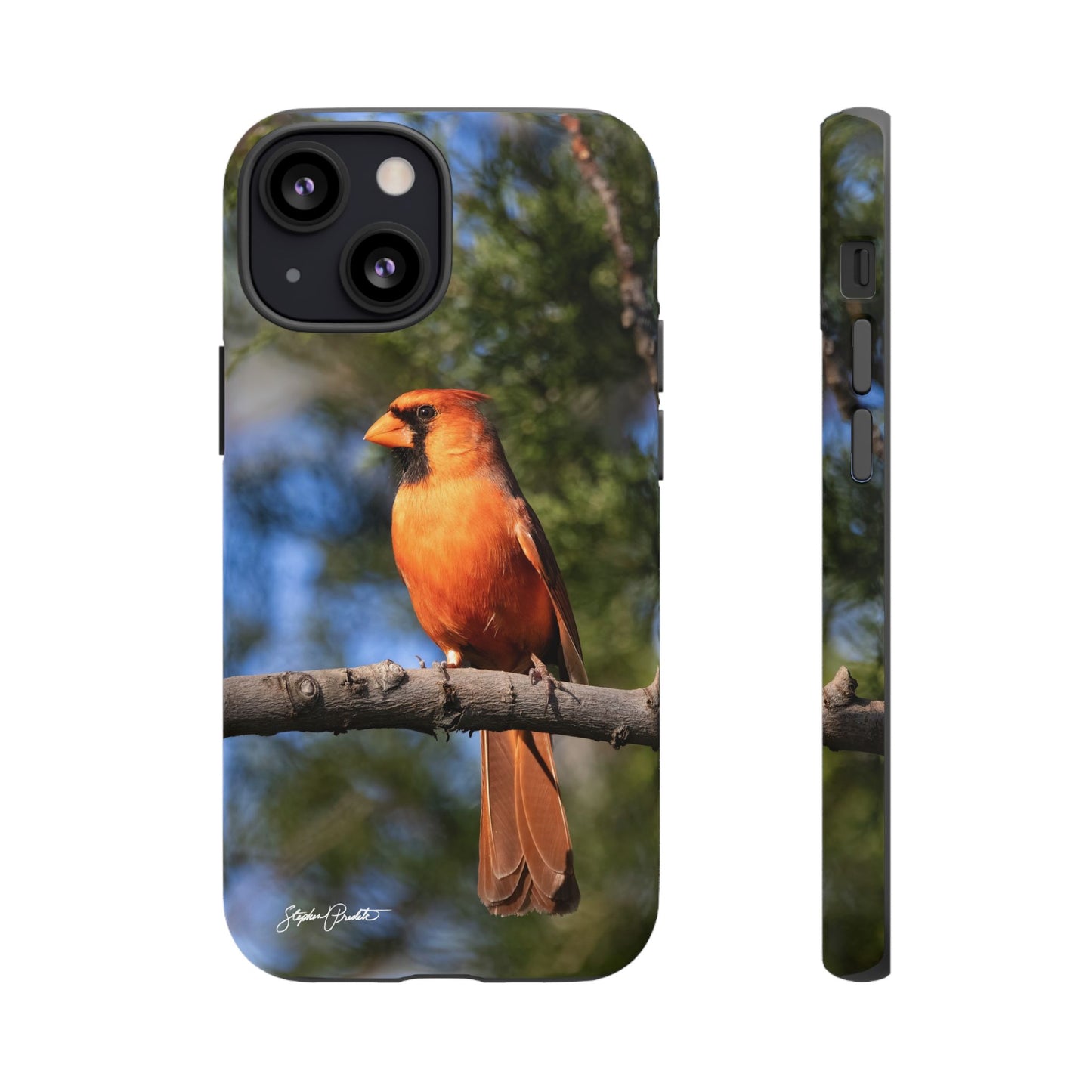 Phone Tough Case - Male Northern Cardinal