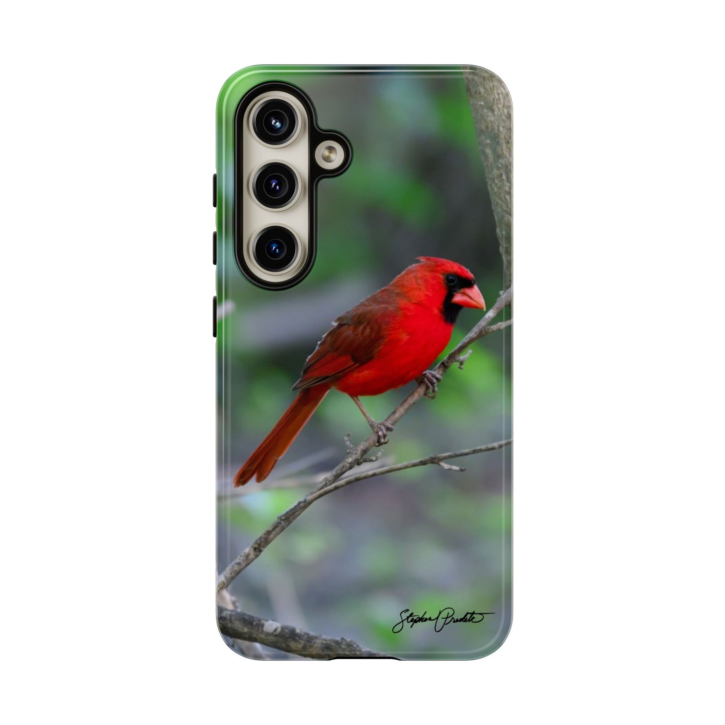 Phone Tough Case - Northern Cardinal 2