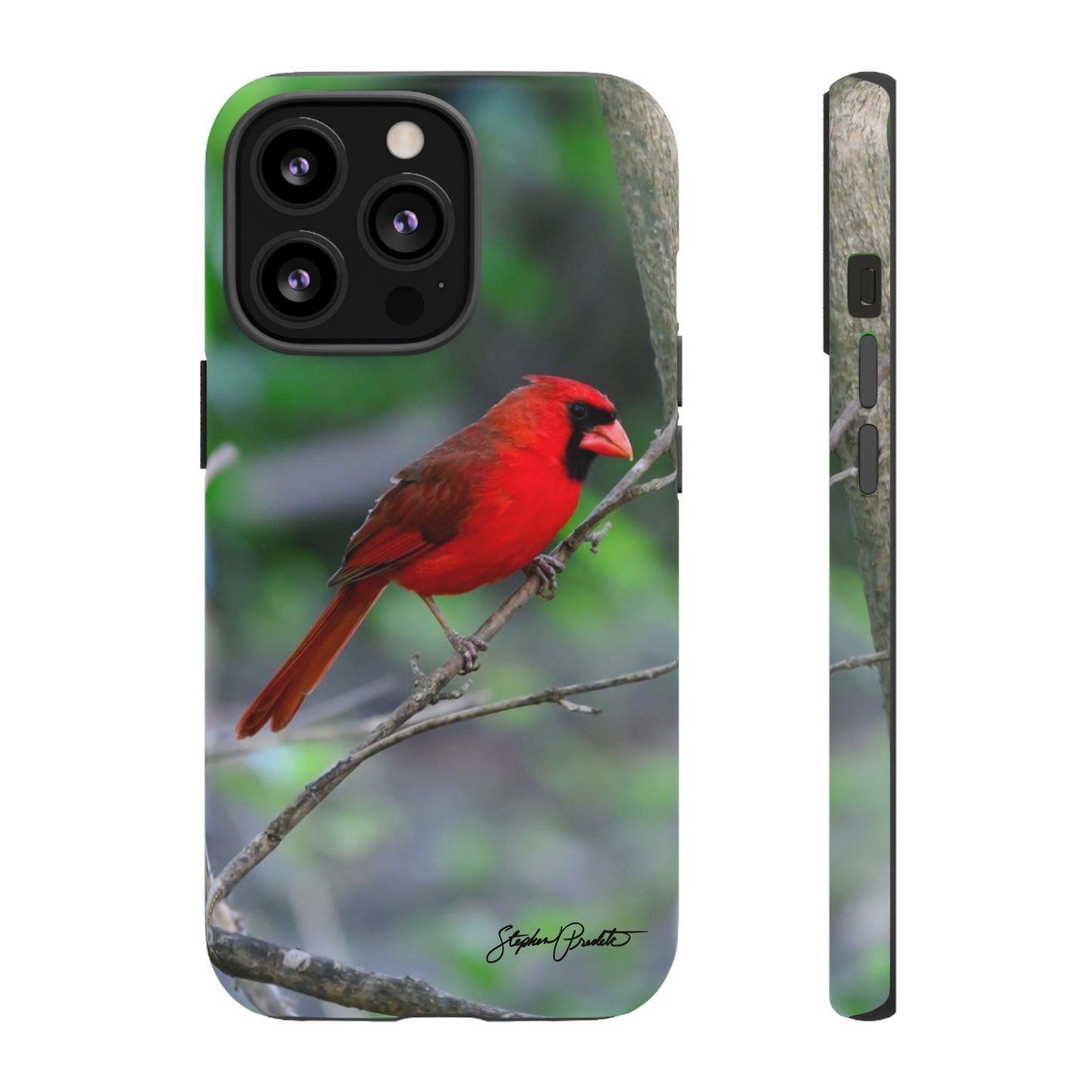 Phone Tough Case - Northern Cardinal 2