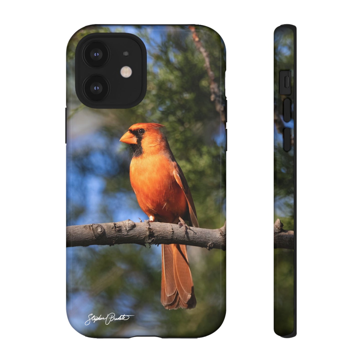 Phone Tough Case - Male Northern Cardinal