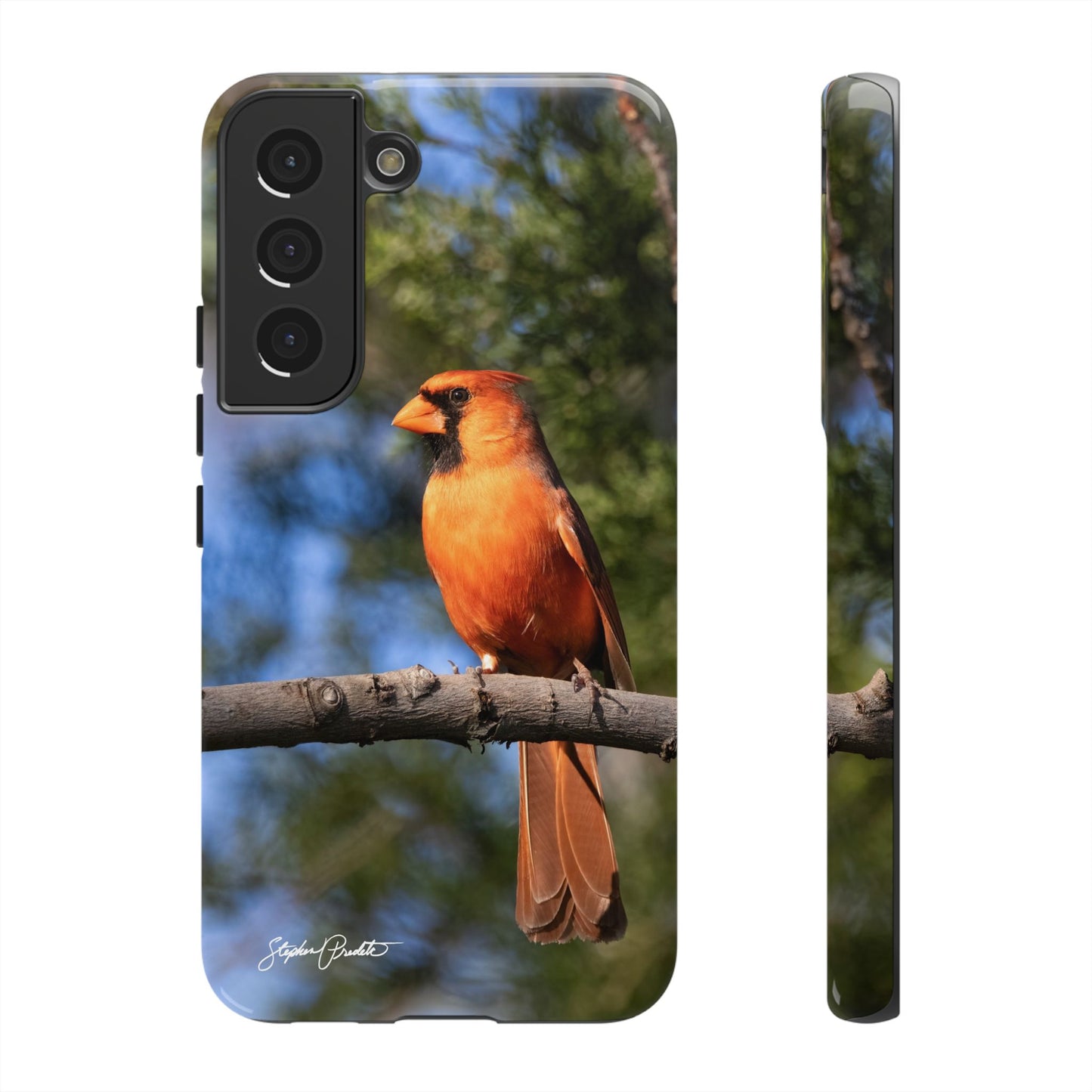 Phone Tough Case - Male Northern Cardinal