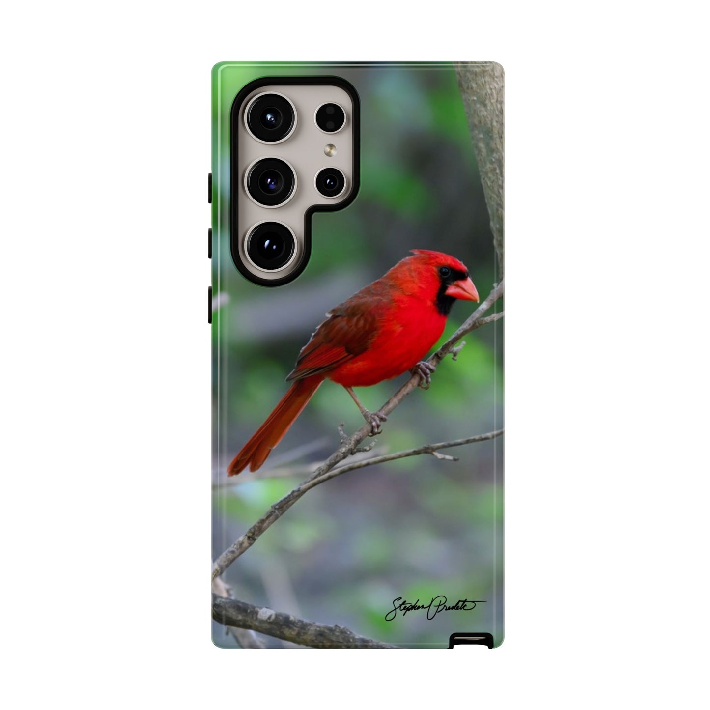 Phone Tough Case - Northern Cardinal 2