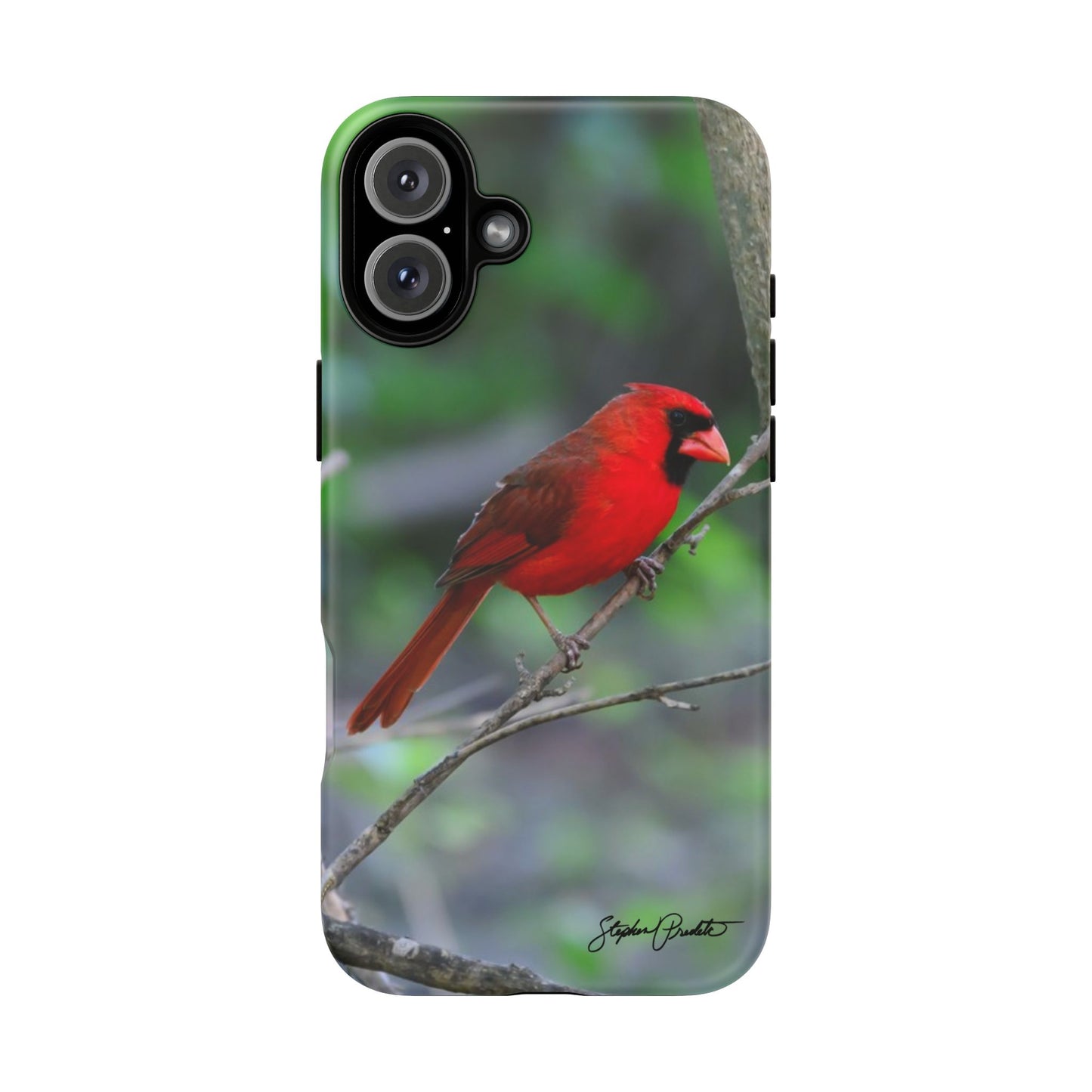 Phone Tough Case - Northern Cardinal 2