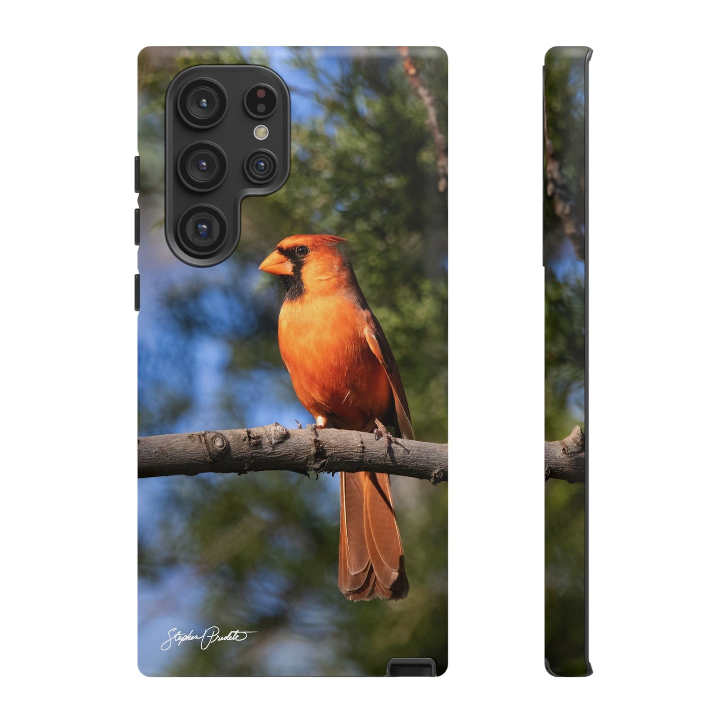 Phone Tough Case - Male Northern Cardinal