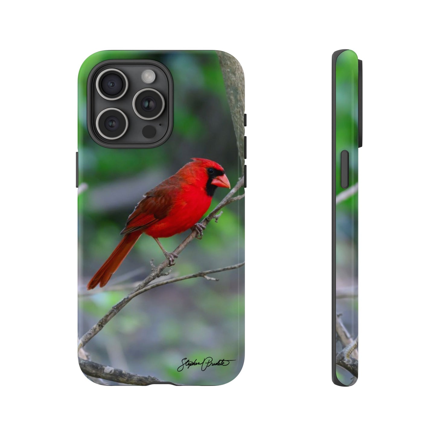Phone Tough Case - Northern Cardinal 2