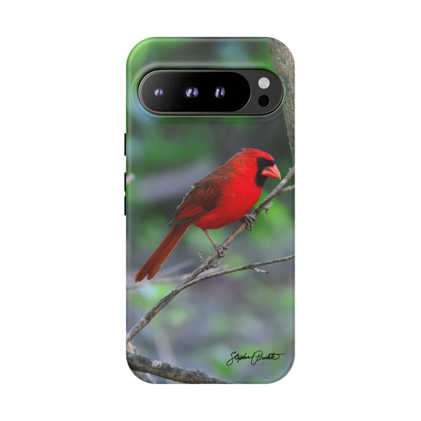 Phone Tough Case - Northern Cardinal 2