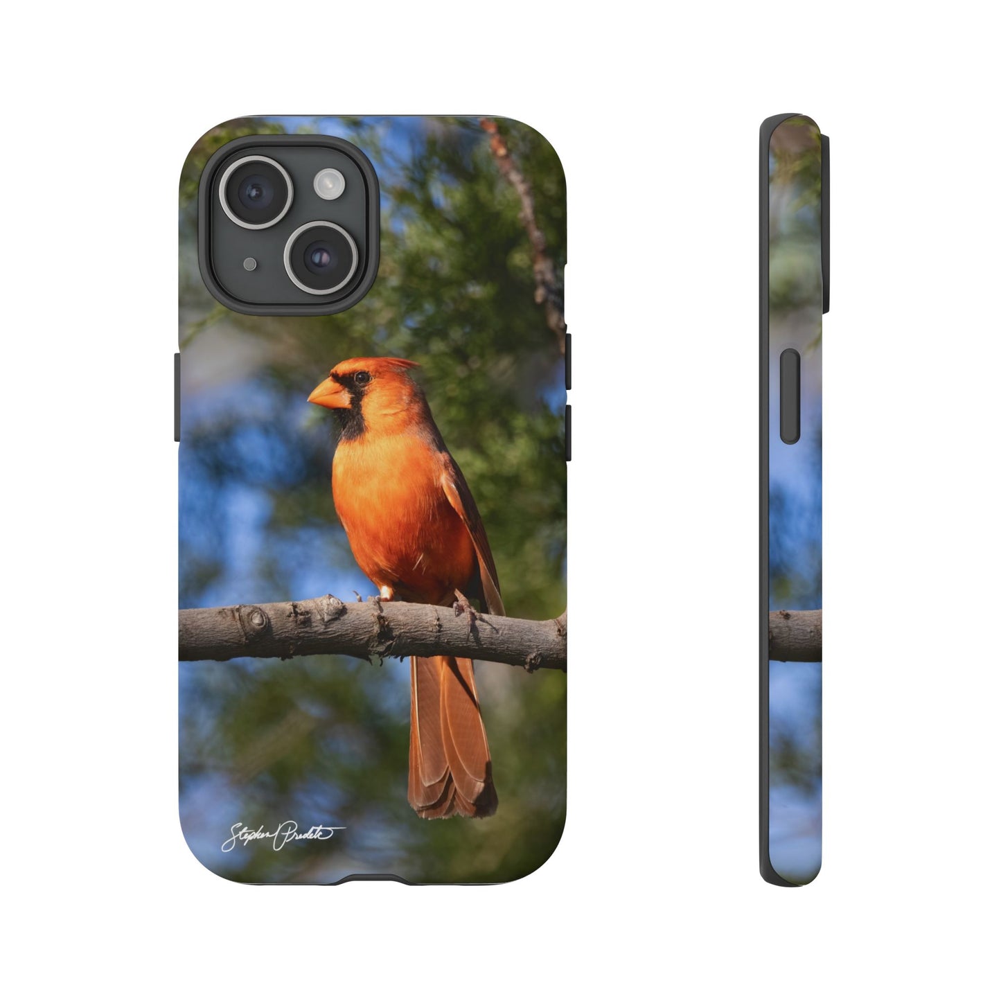 Phone Tough Case - Male Northern Cardinal