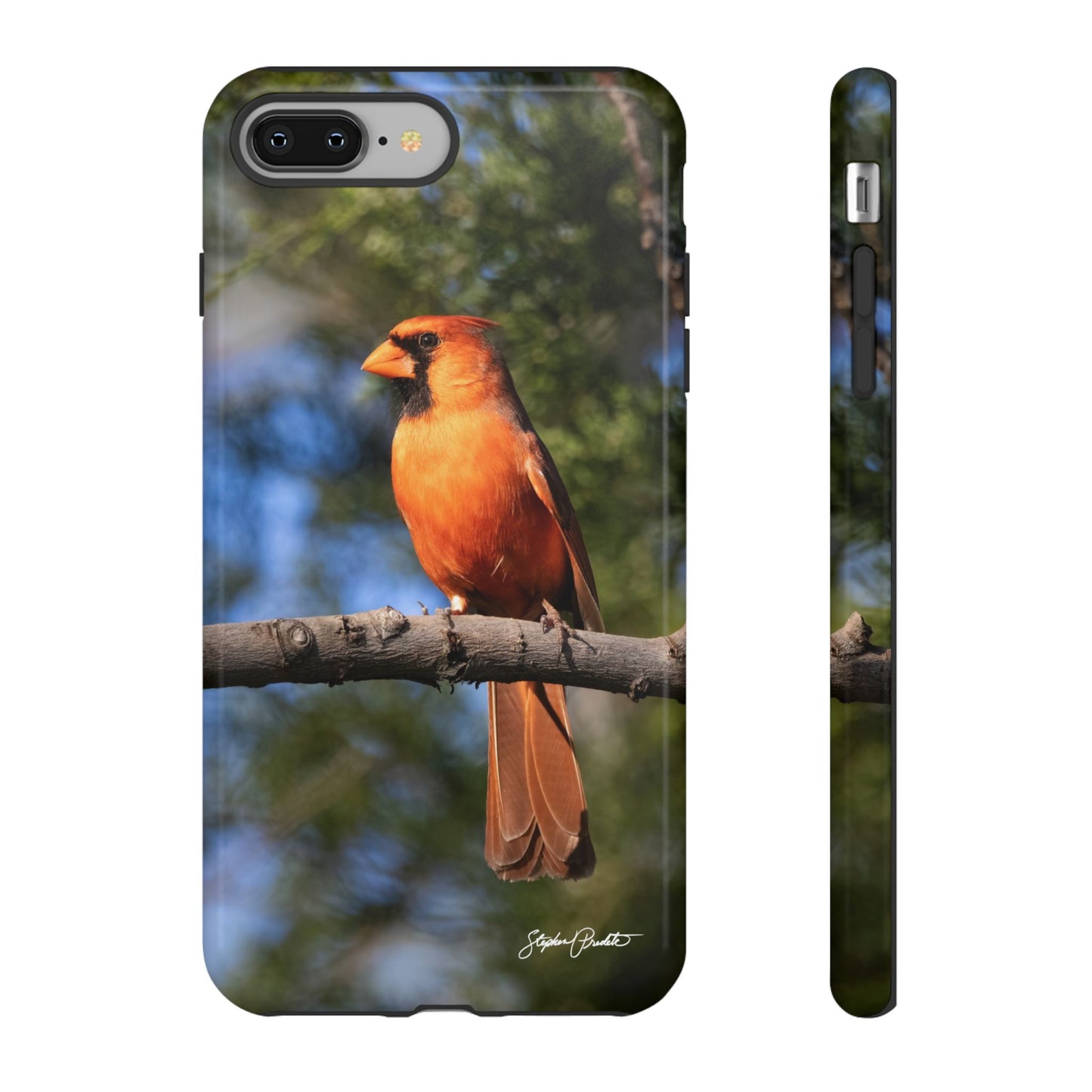 Phone Tough Case - Male Northern Cardinal