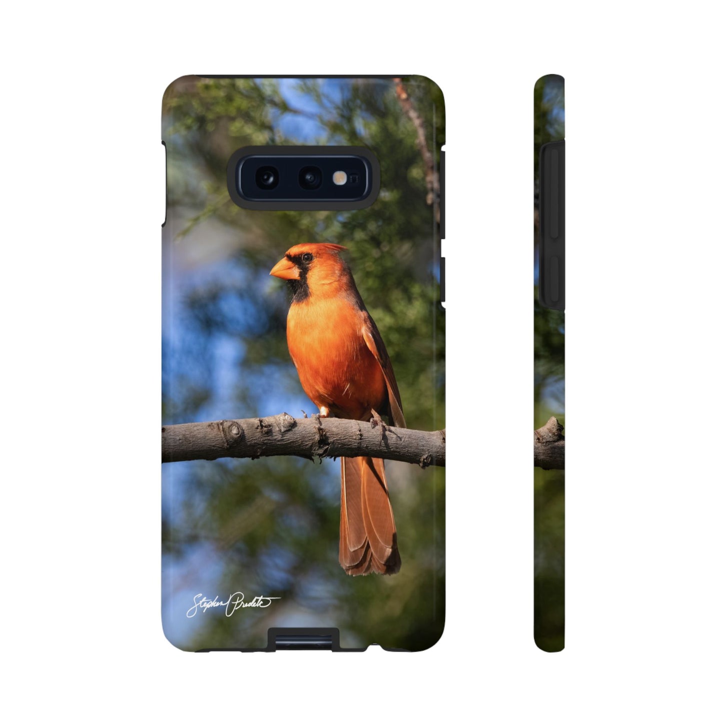 Phone Tough Case - Male Northern Cardinal