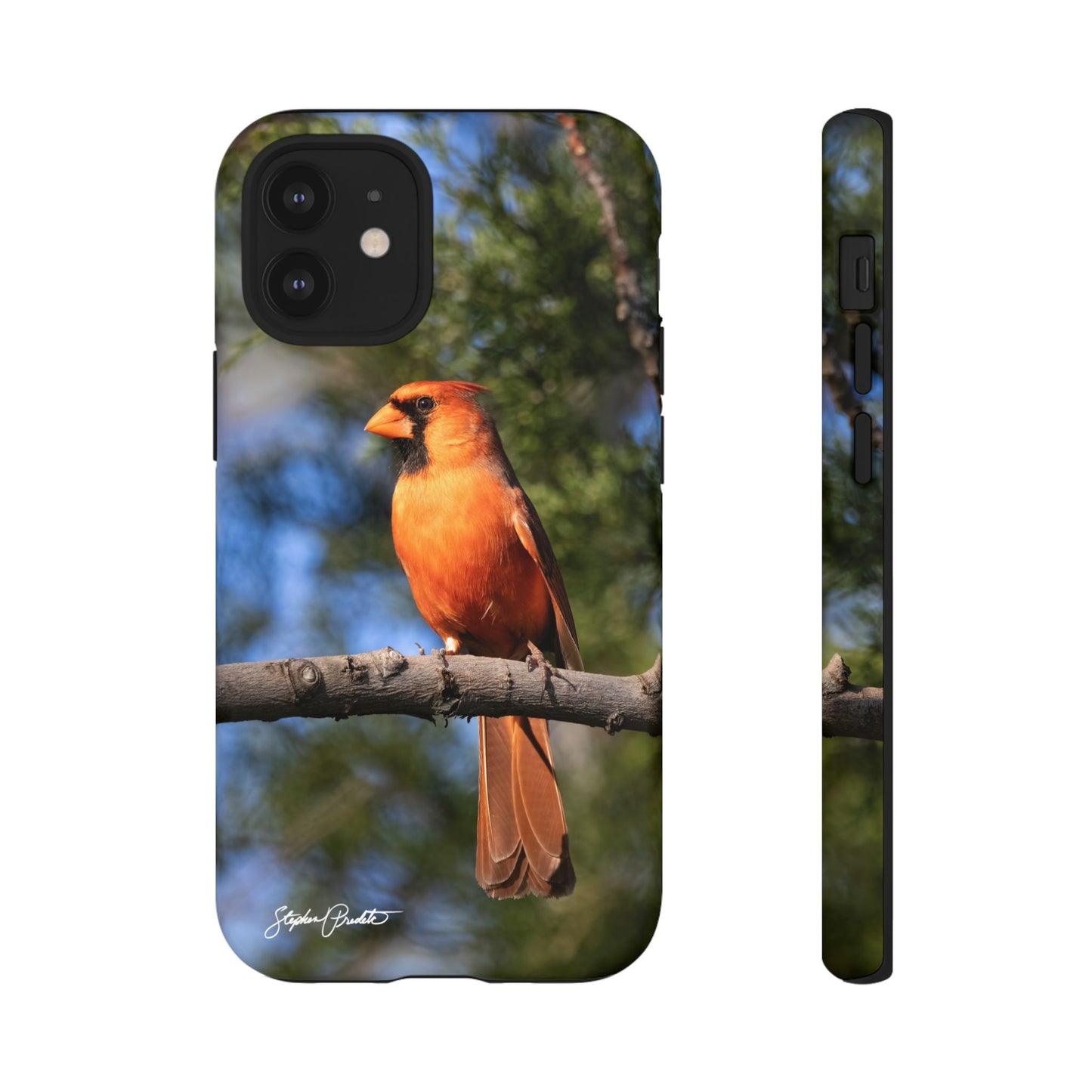 Phone Tough Case - Male Northern Cardinal