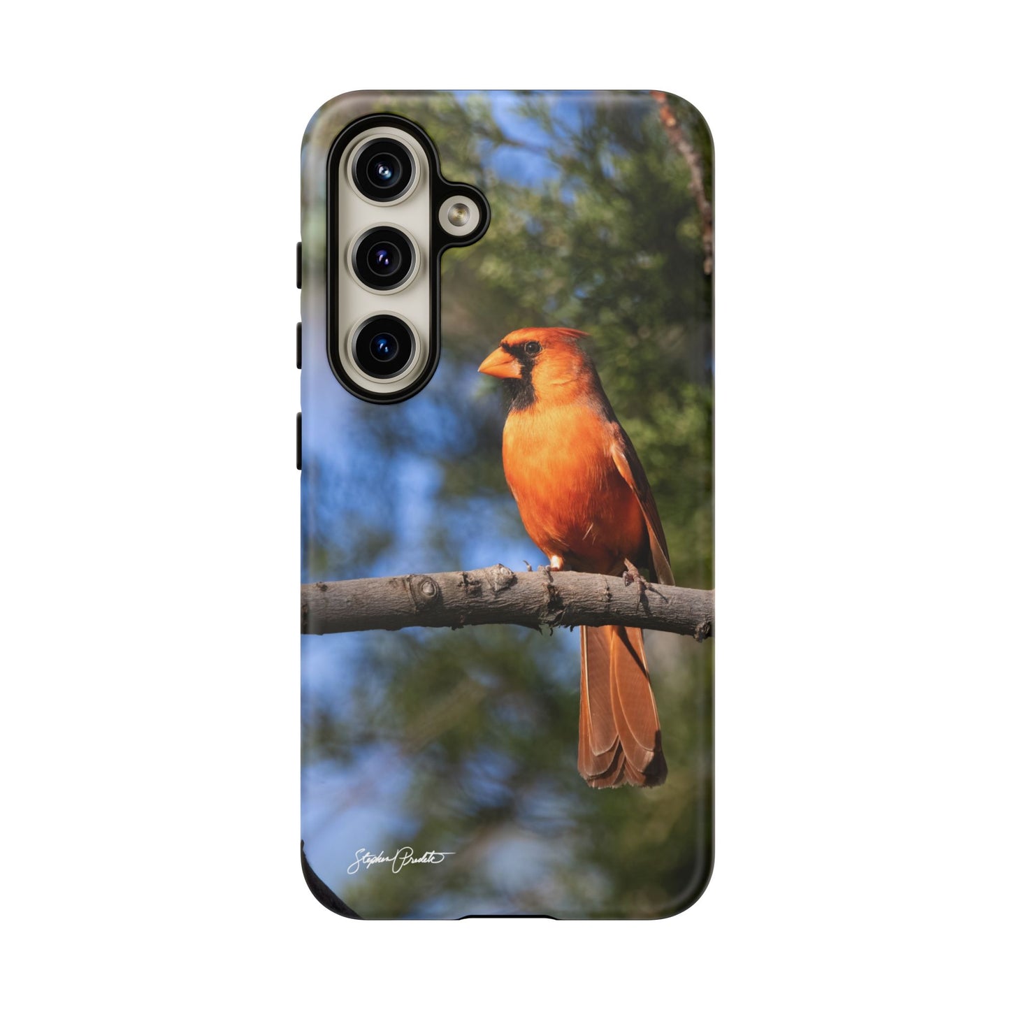Phone Tough Case - Male Northern Cardinal