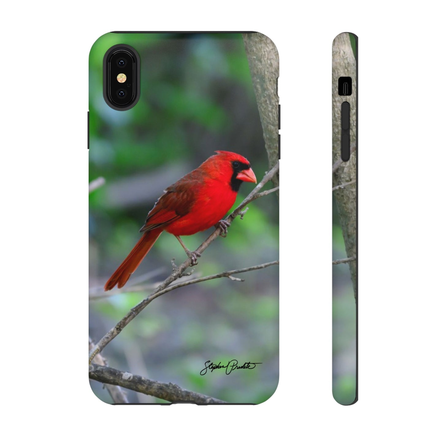 Phone Tough Case - Northern Cardinal 2