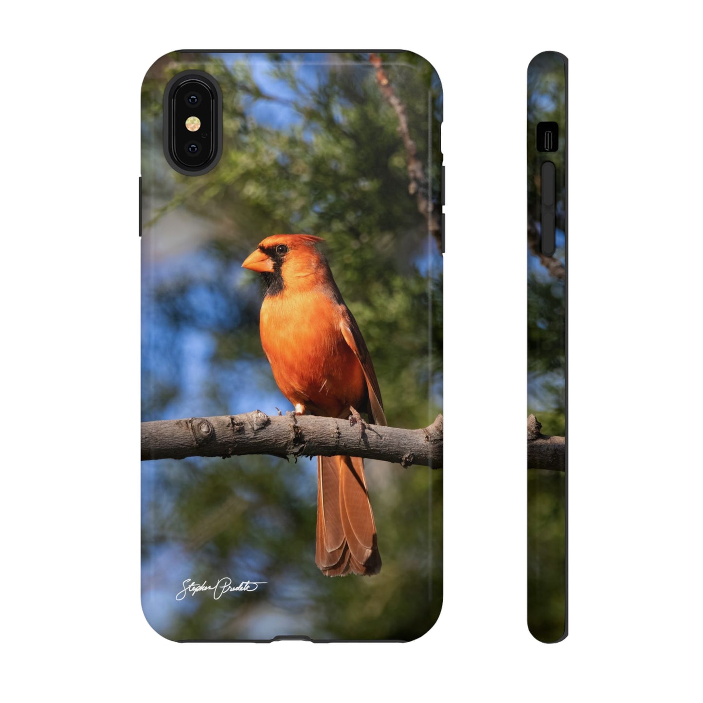 Phone Tough Case - Male Northern Cardinal