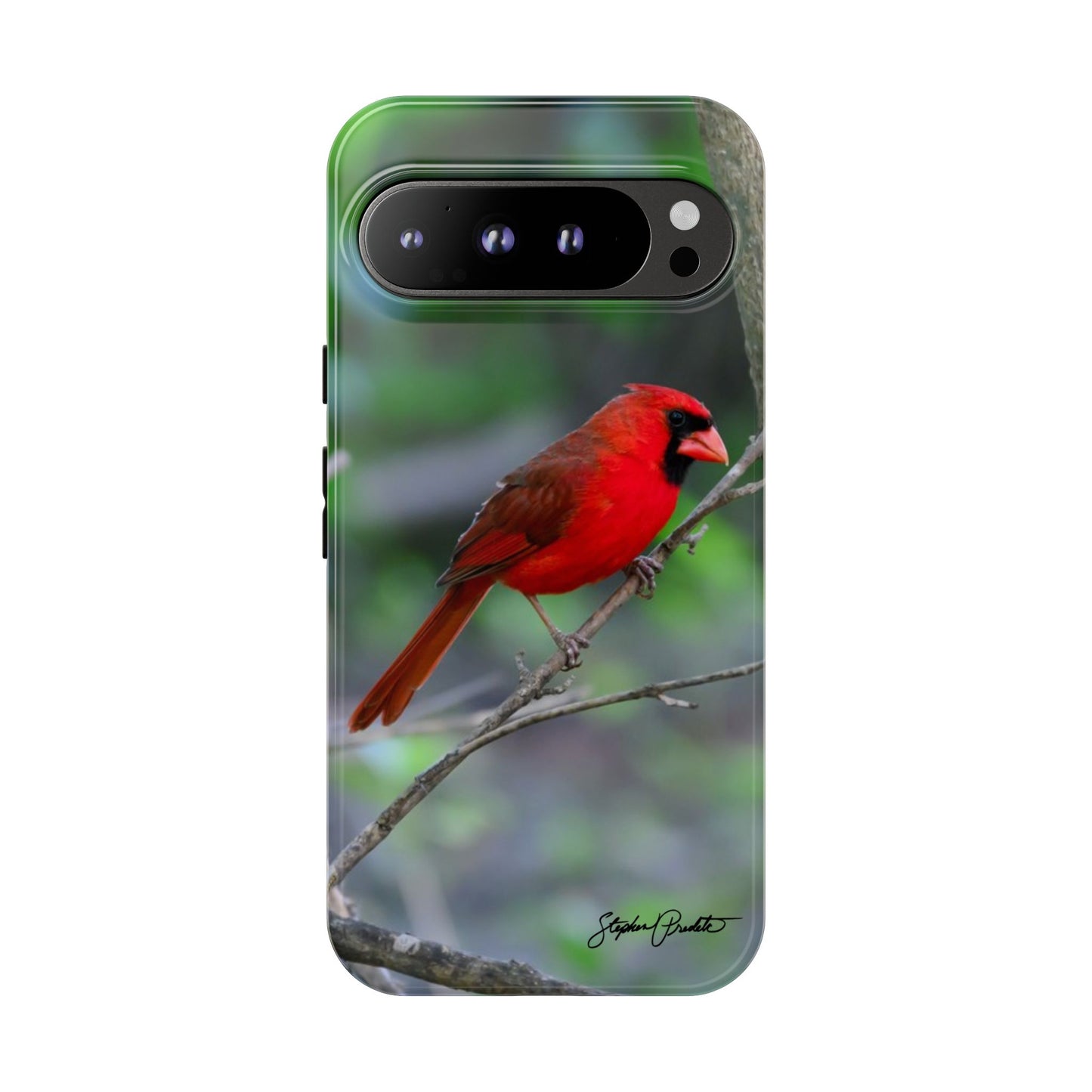 Phone Tough Case - Northern Cardinal 2