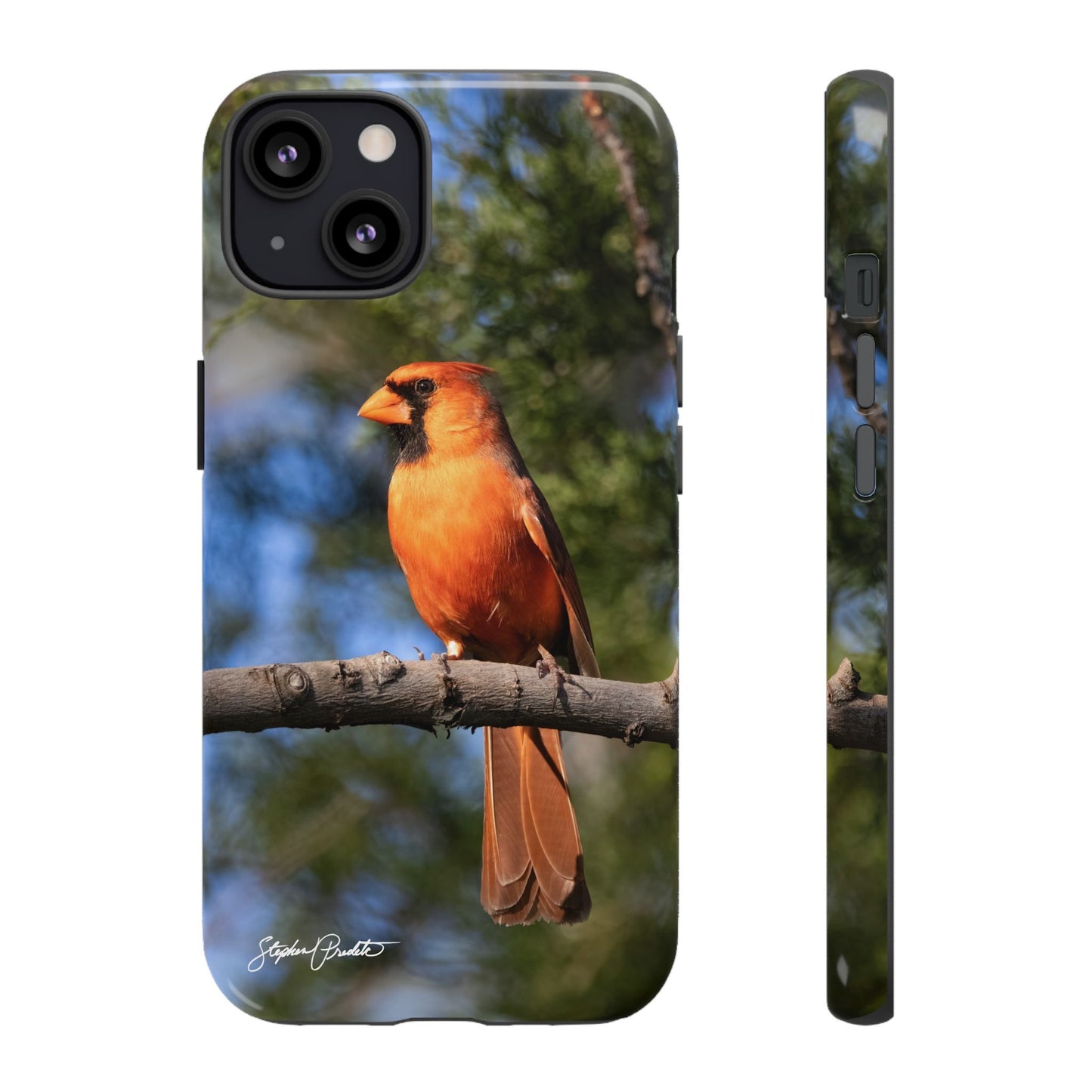 Phone Tough Case - Male Northern Cardinal