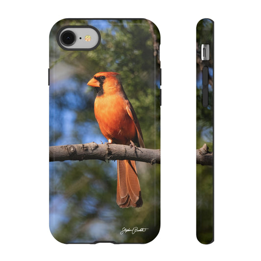 Phone Tough Case - Male Northern Cardinal