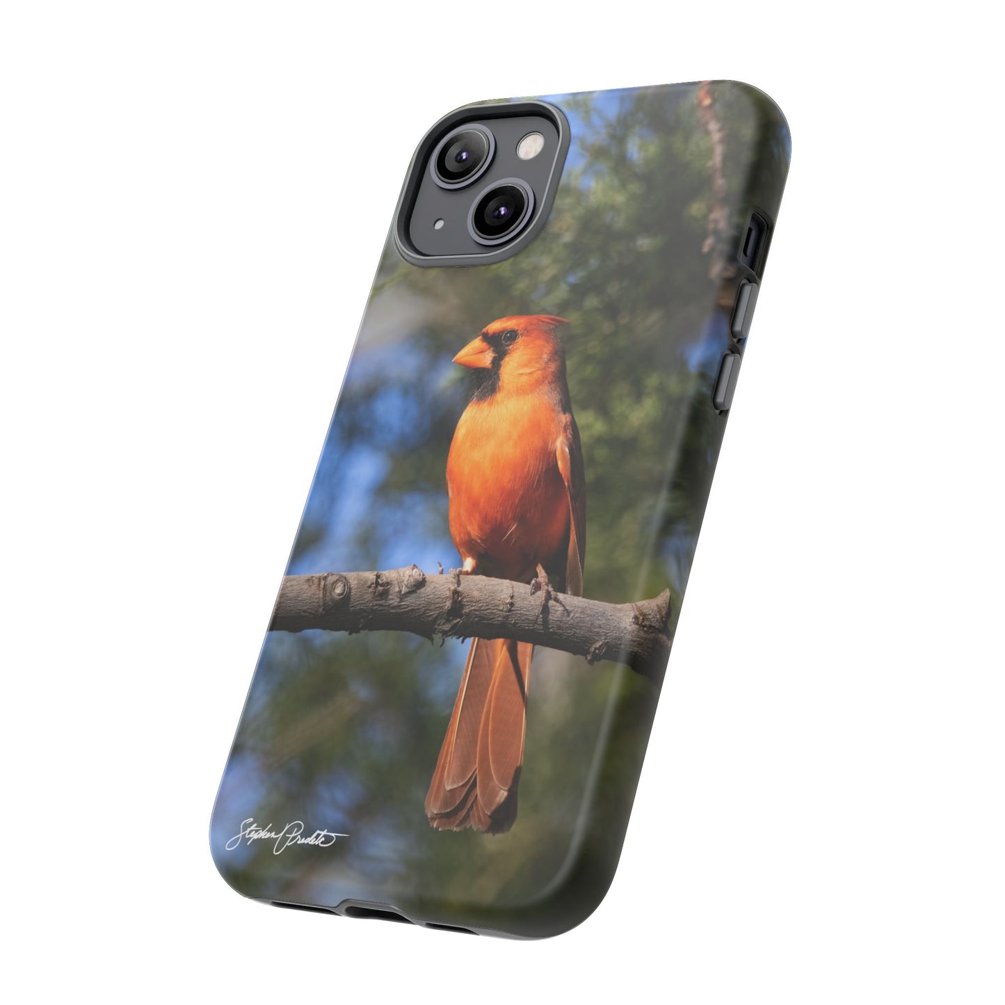 Phone Tough Case - Male Northern Cardinal