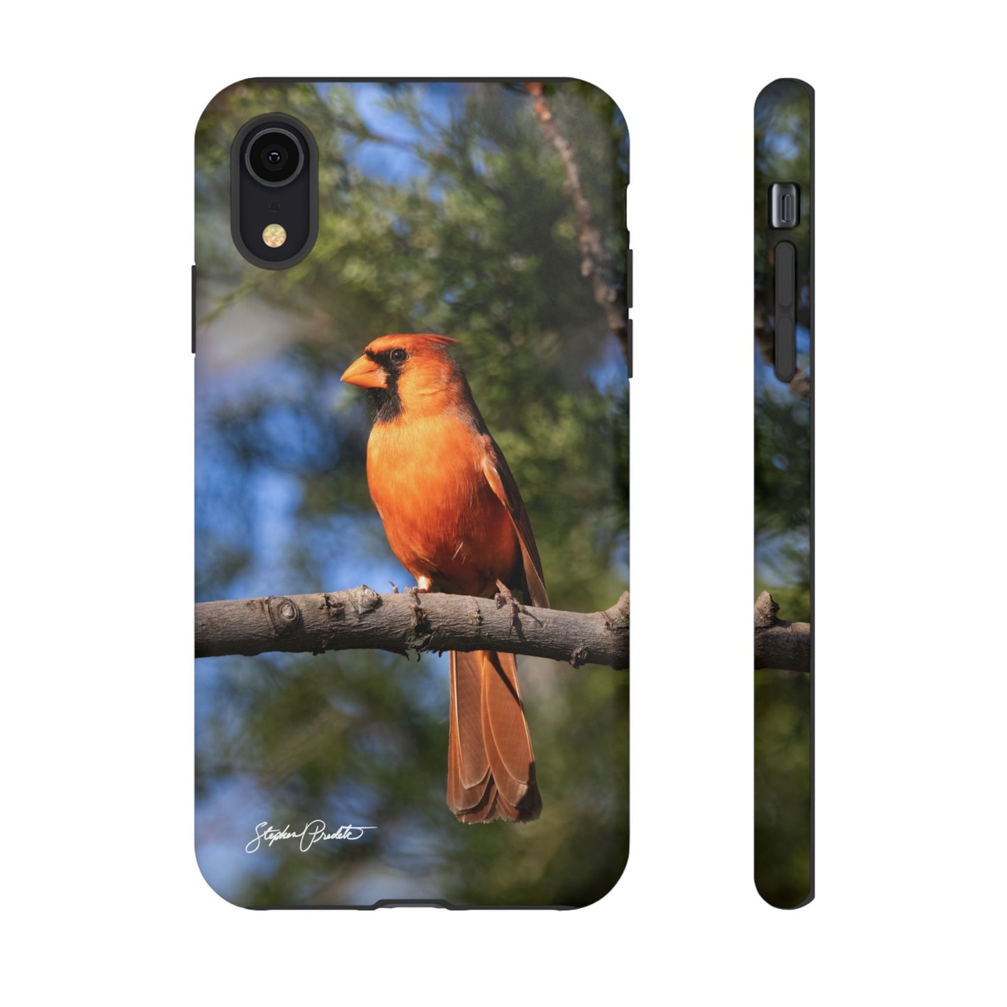 Phone Tough Case - Male Northern Cardinal