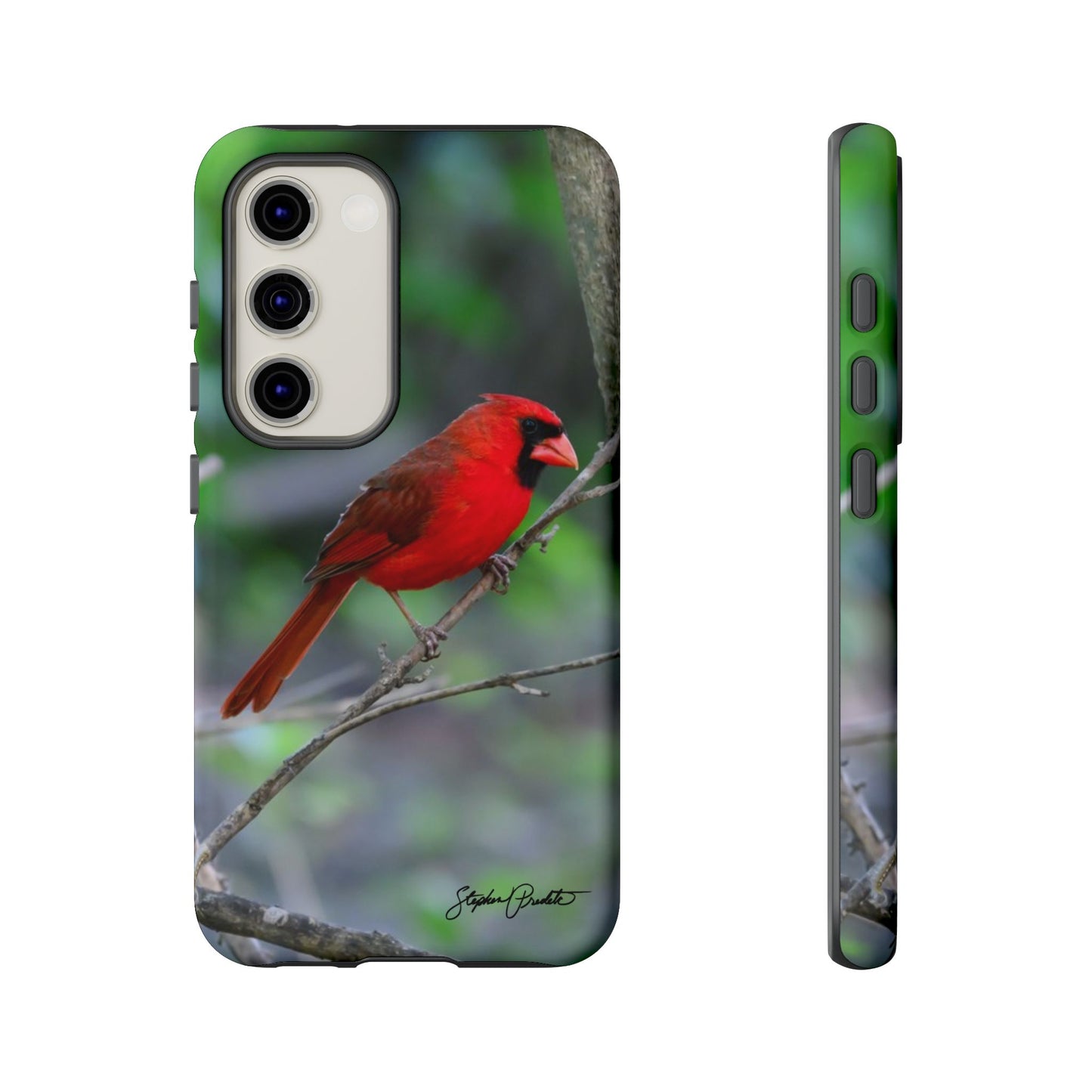 Phone Tough Case - Northern Cardinal 2
