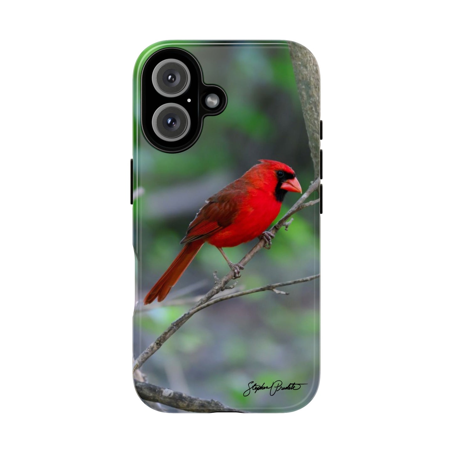 Phone Tough Case - Northern Cardinal 2