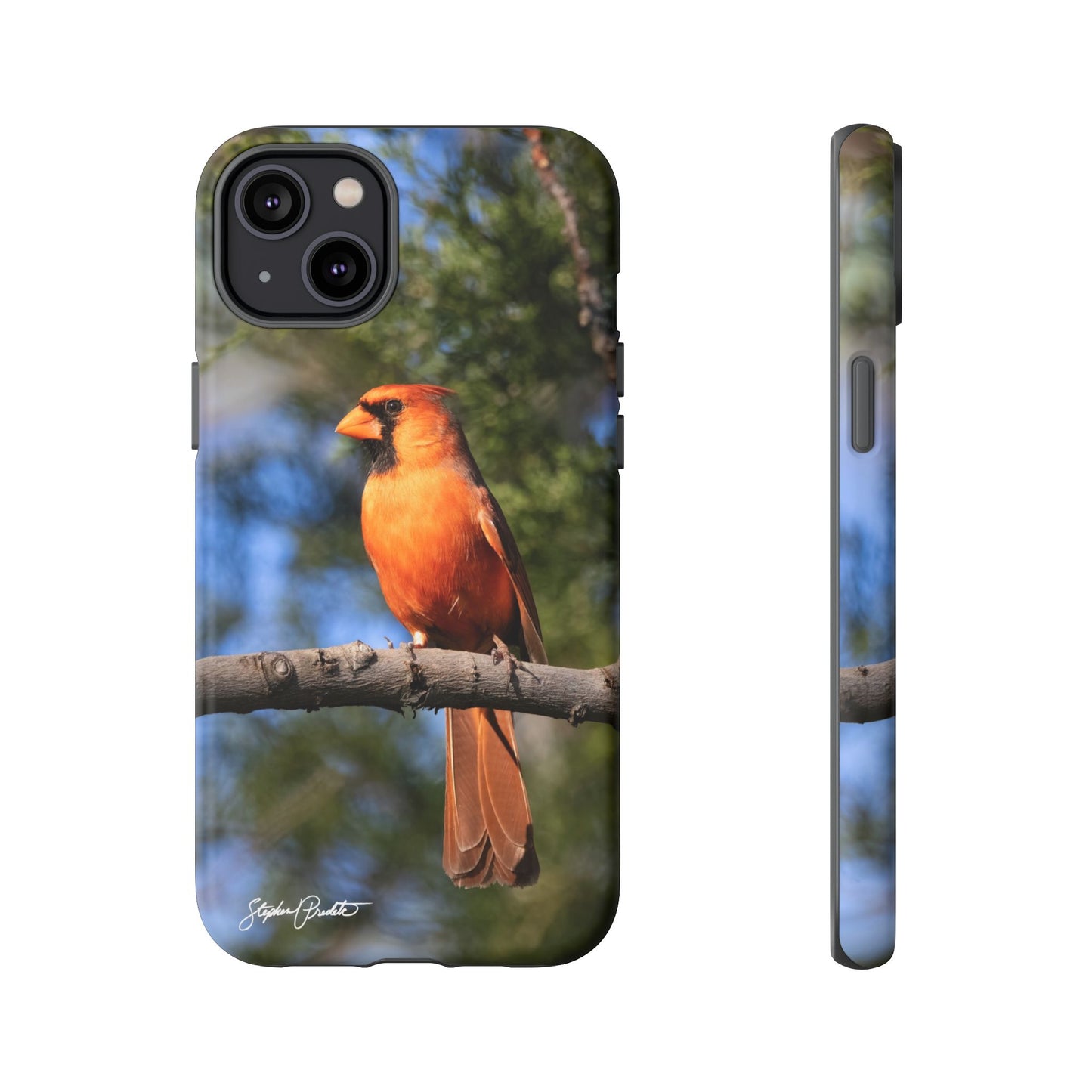 Phone Tough Case - Male Northern Cardinal